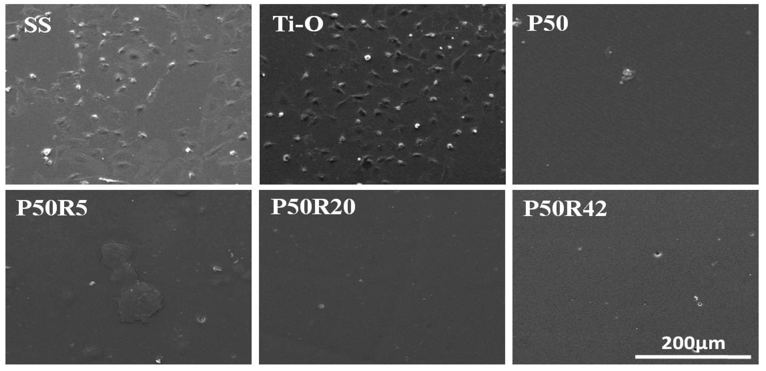 Biomolecules 09 00069 g006