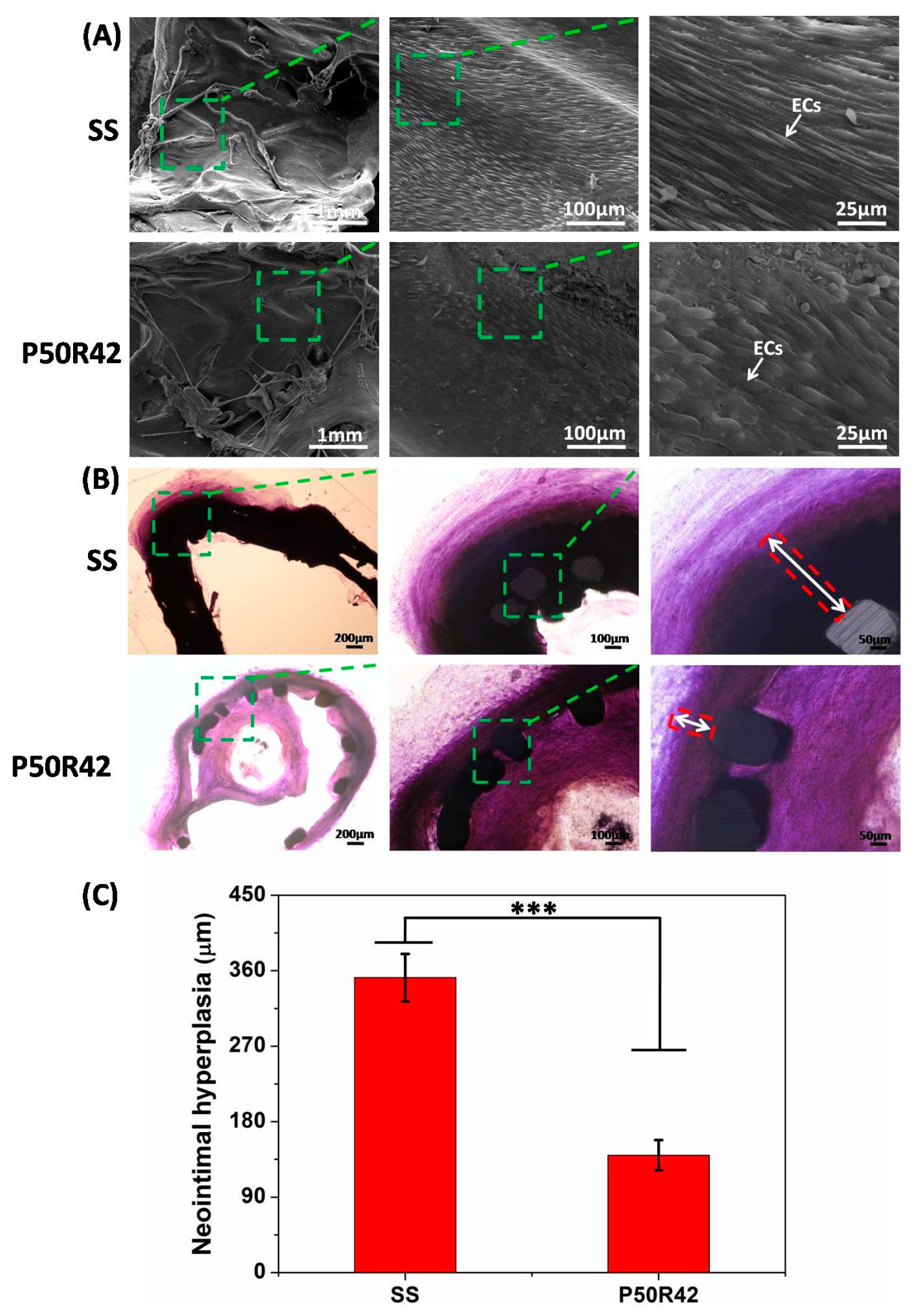 Biomolecules 09 00069 g009