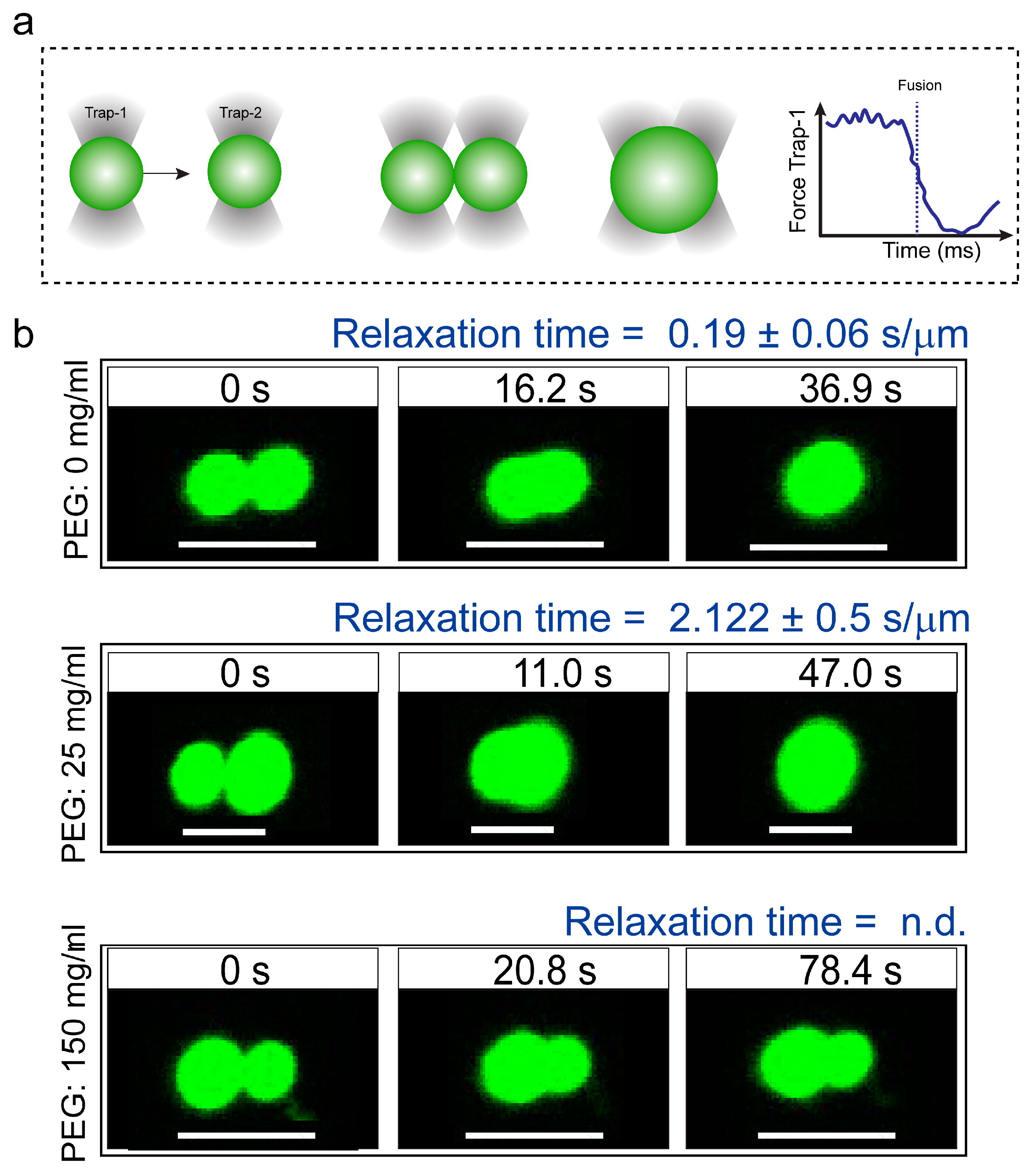 Biomolecules 09 00071 g002