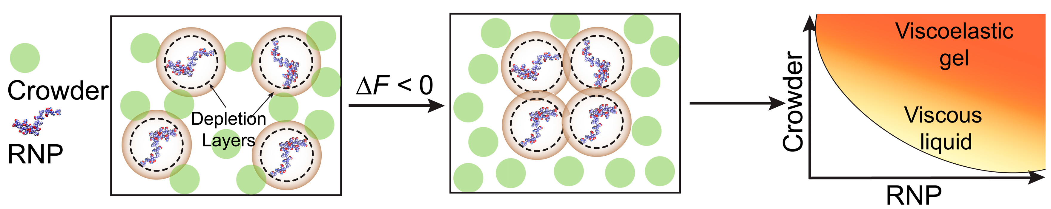 Biomolecules 09 00071 g006