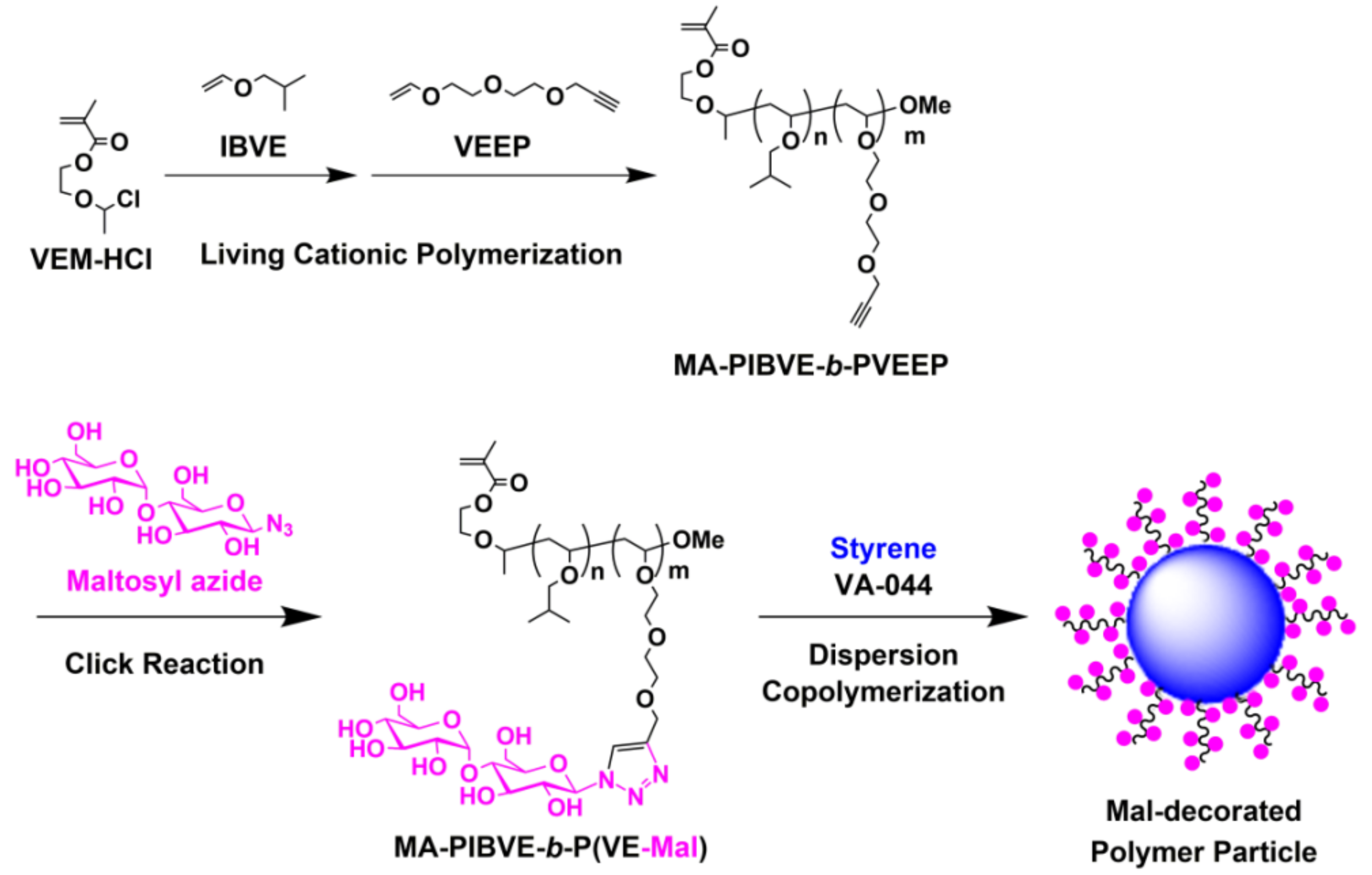Biomolecules 09 00072 g001
