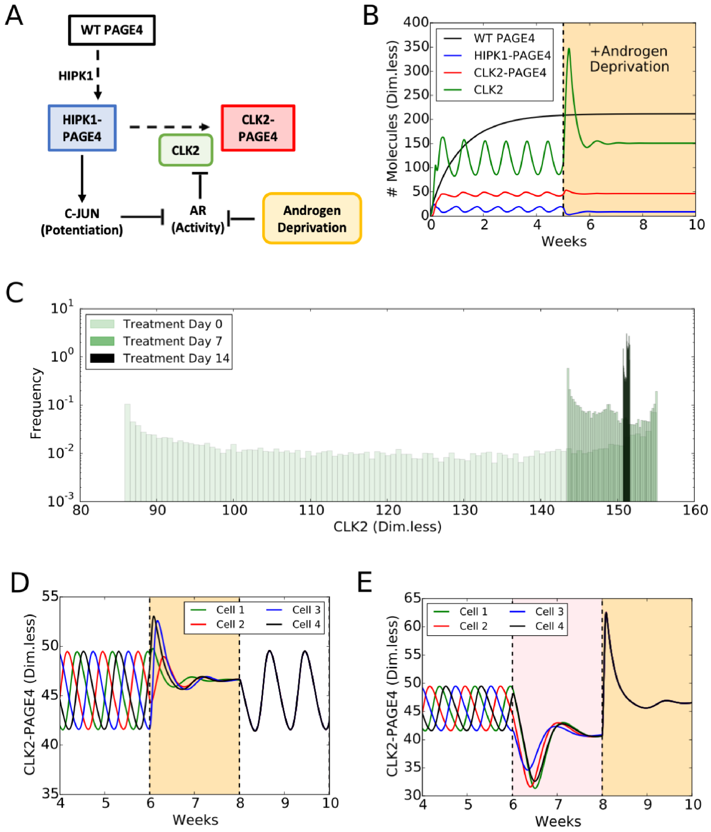 Biomolecules 09 00077 g005