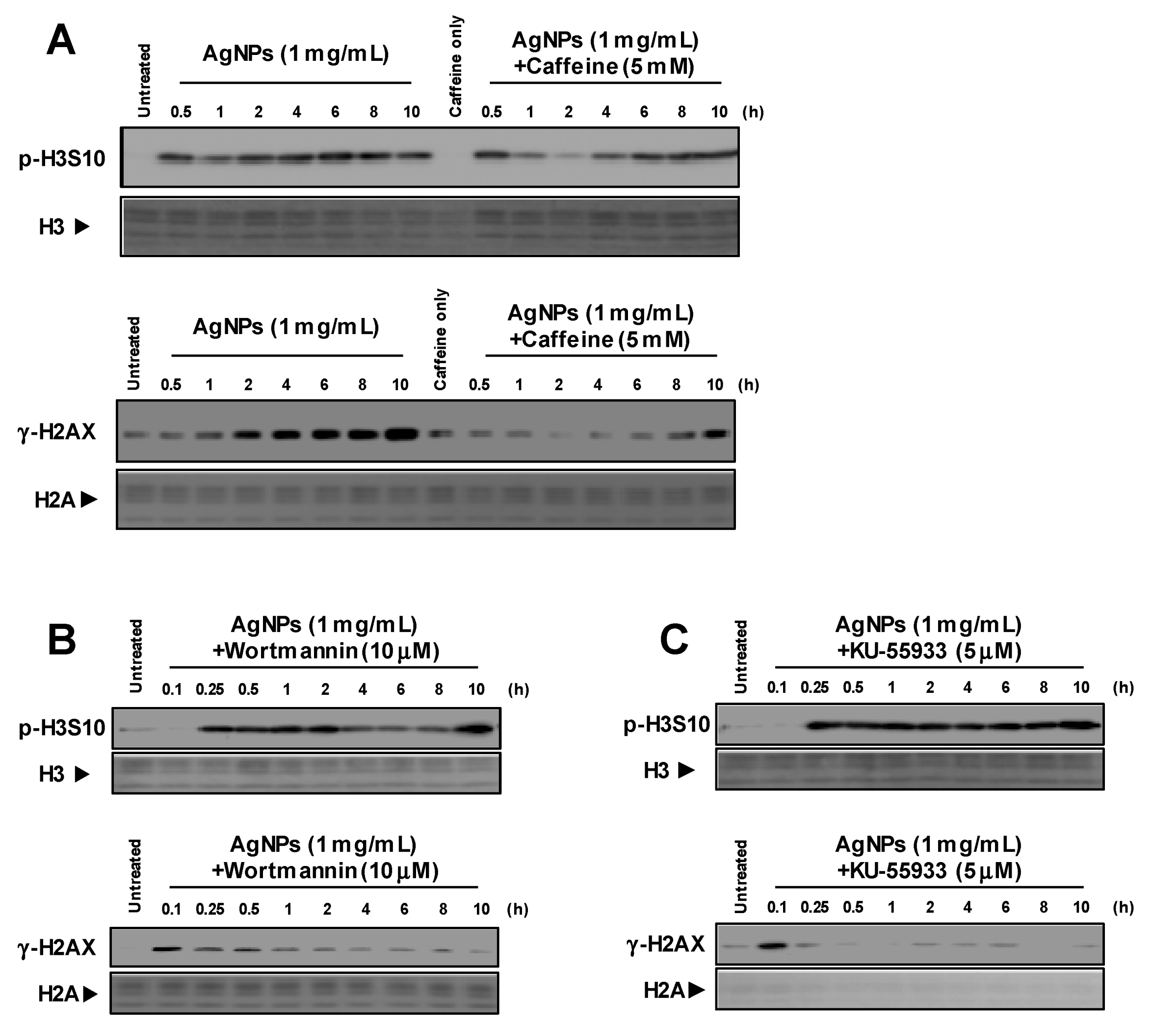 Biomolecules 09 00078 g001 Biomolecules 09 00078 g001
