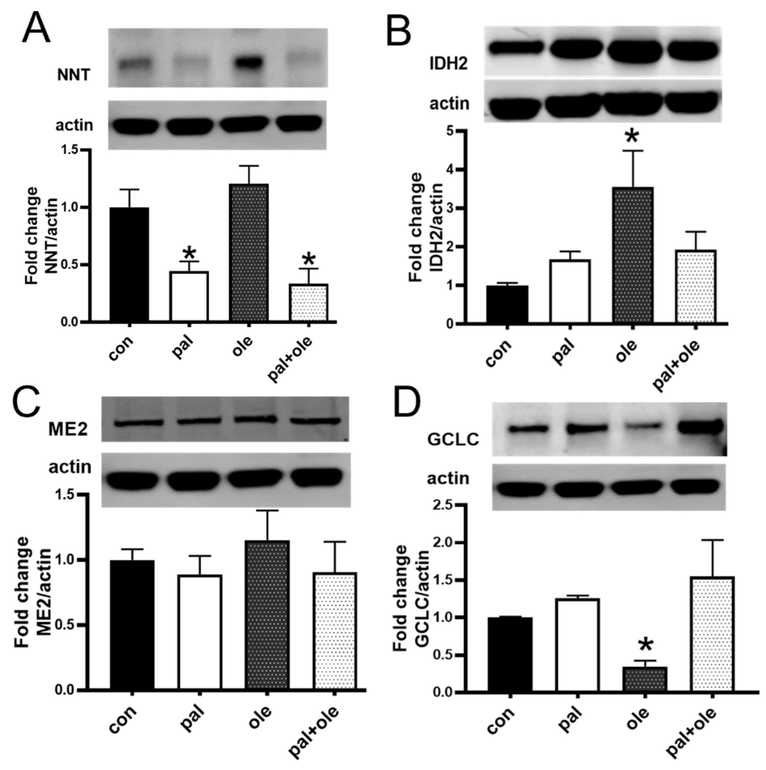 Biomolecules 09 00079 g003