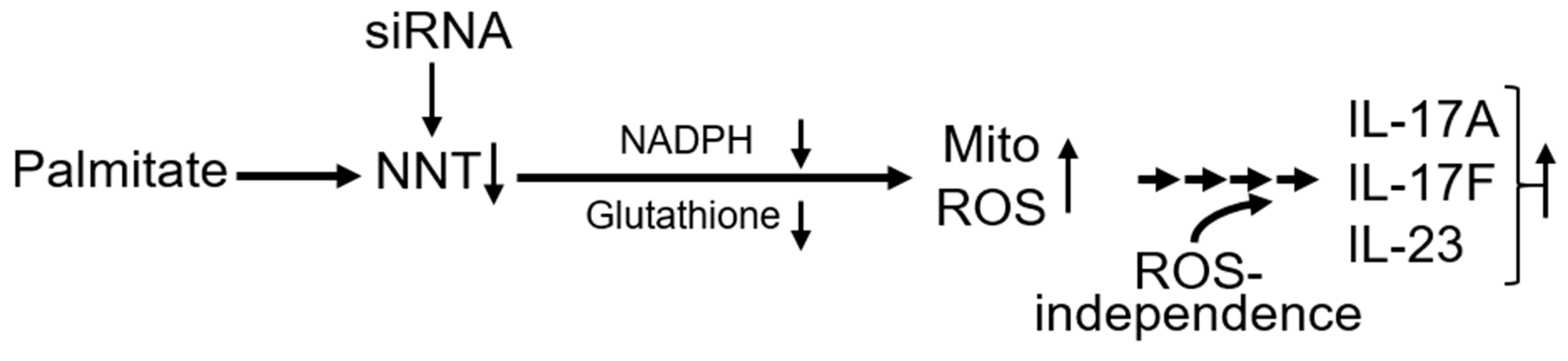 Biomolecules 09 00079 g007