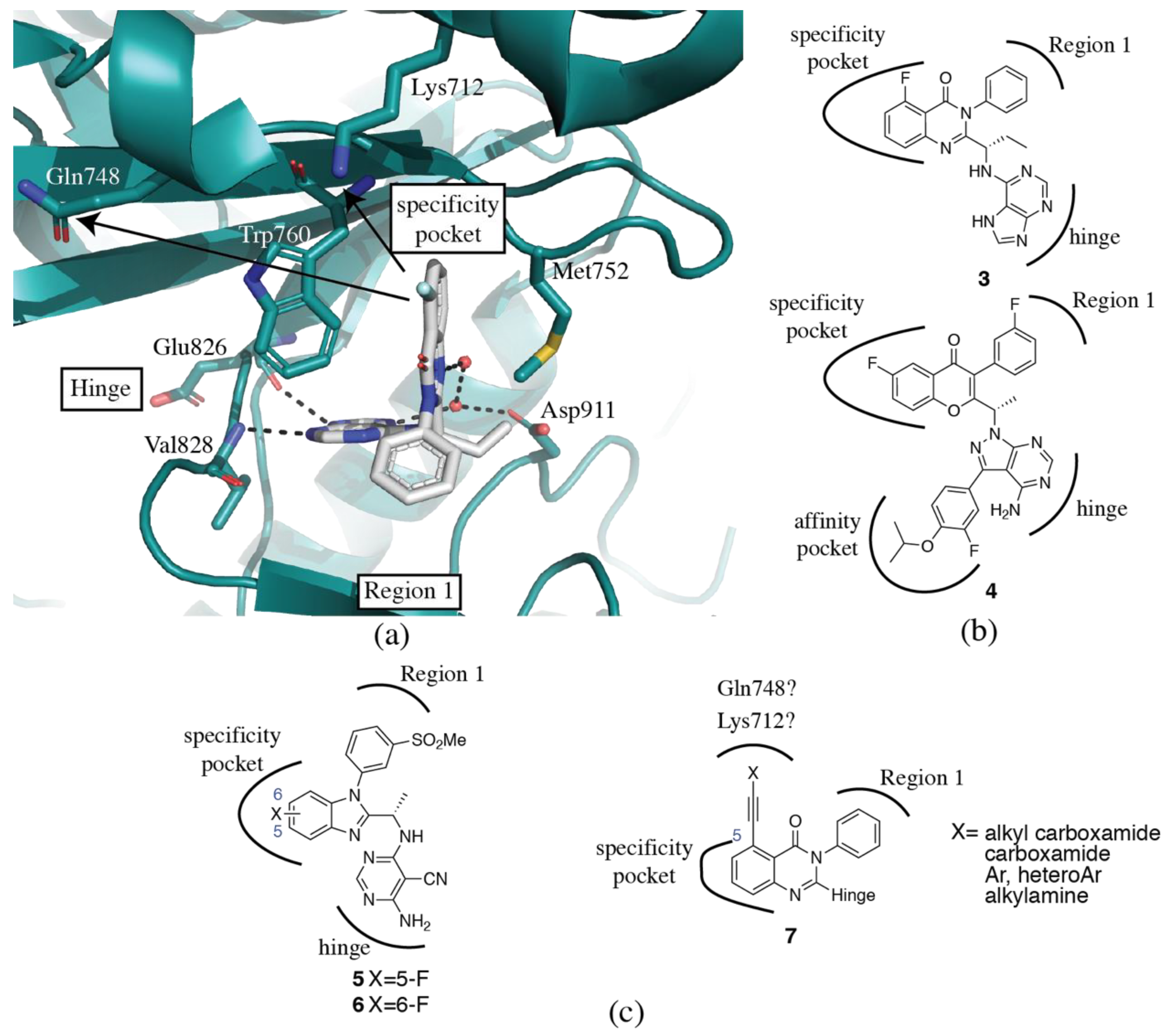 Biomolecules 09 00082 g003 Biomolecules 09 00082 g003
