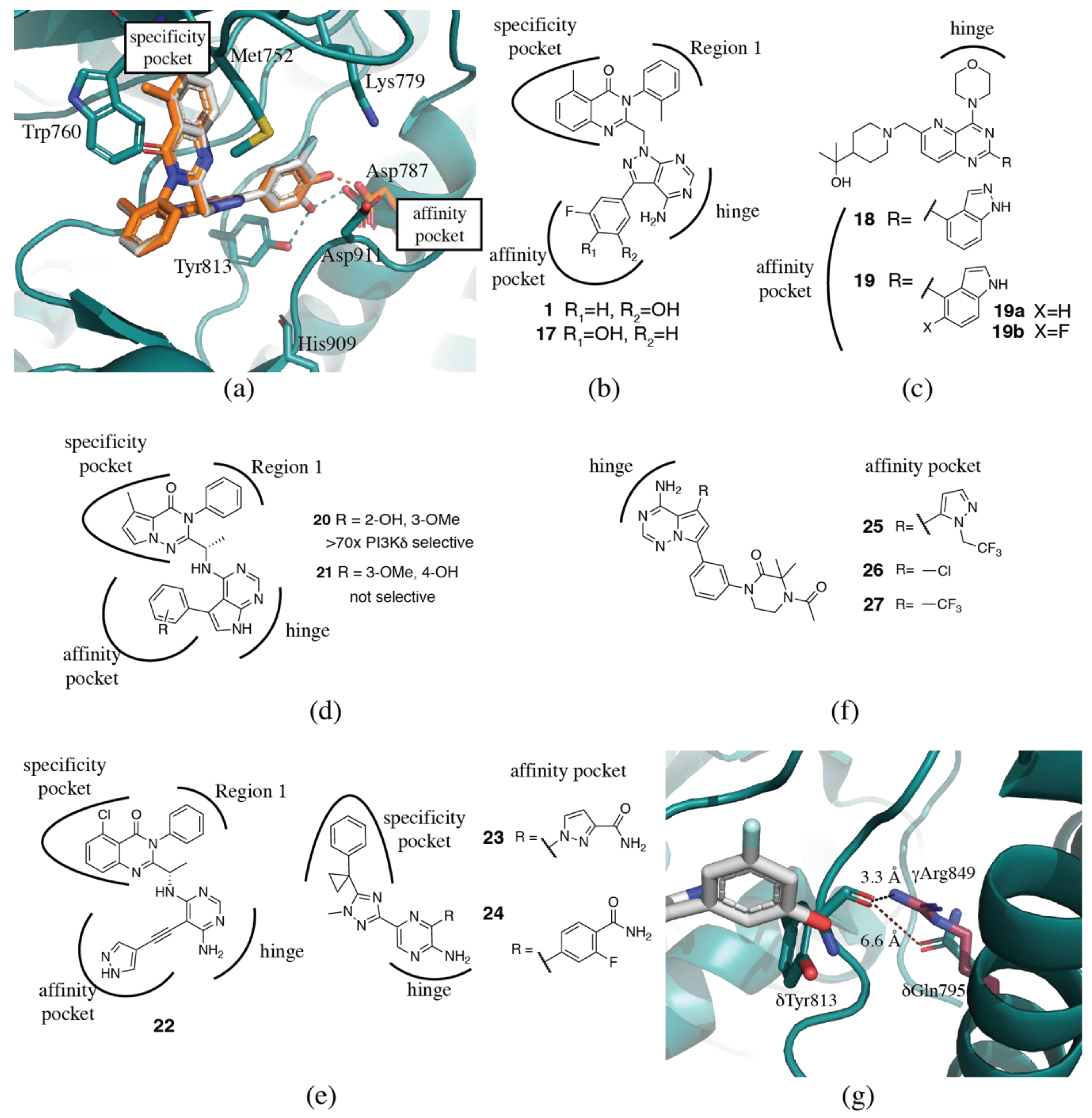 Biomolecules 09 00082 g004 Biomolecules 09 00082 g004