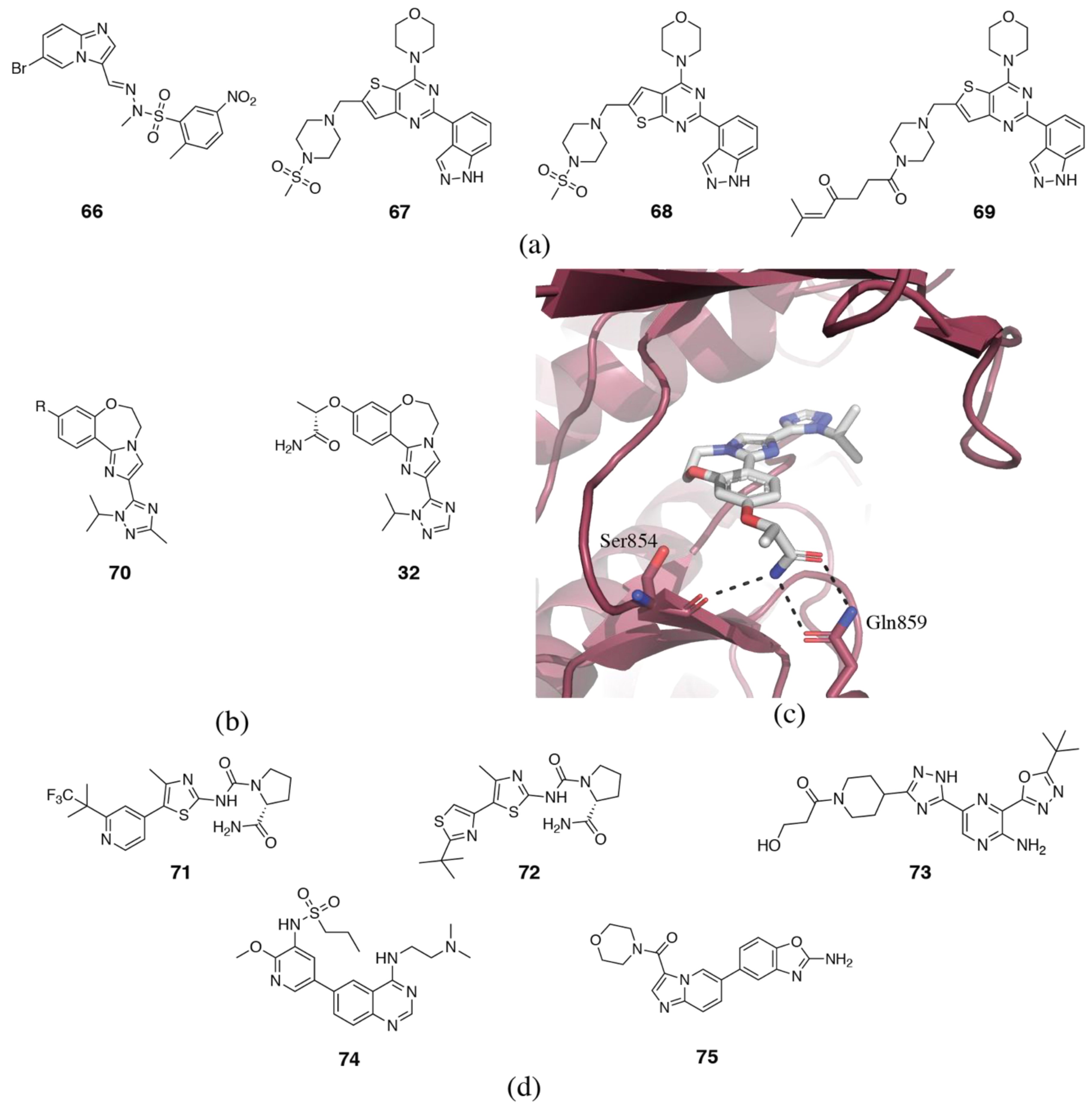 Biomolecules 09 00082 g011 Biomolecules 09 00082 g011