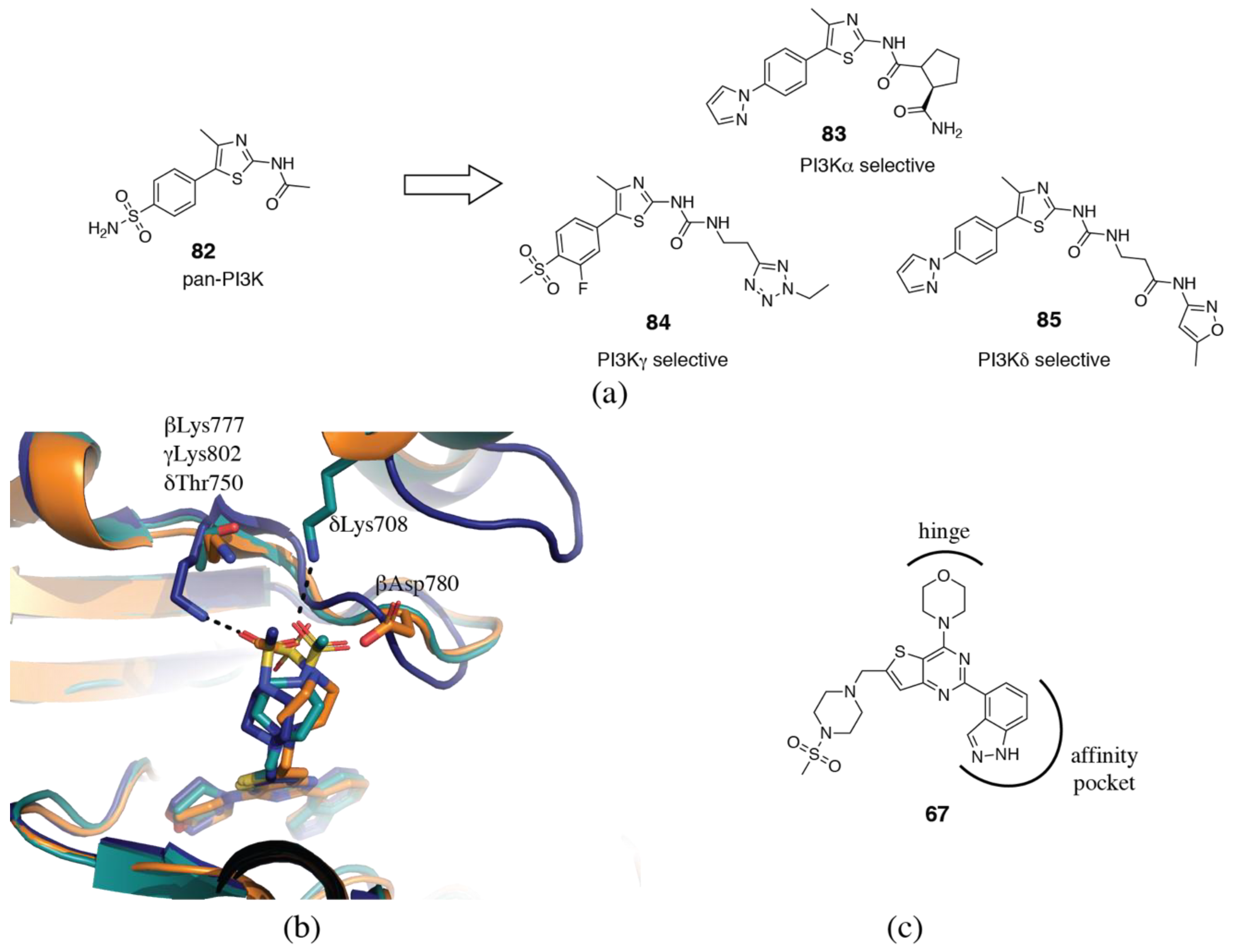 Biomolecules 09 00082 g013 Biomolecules 09 00082 g013
