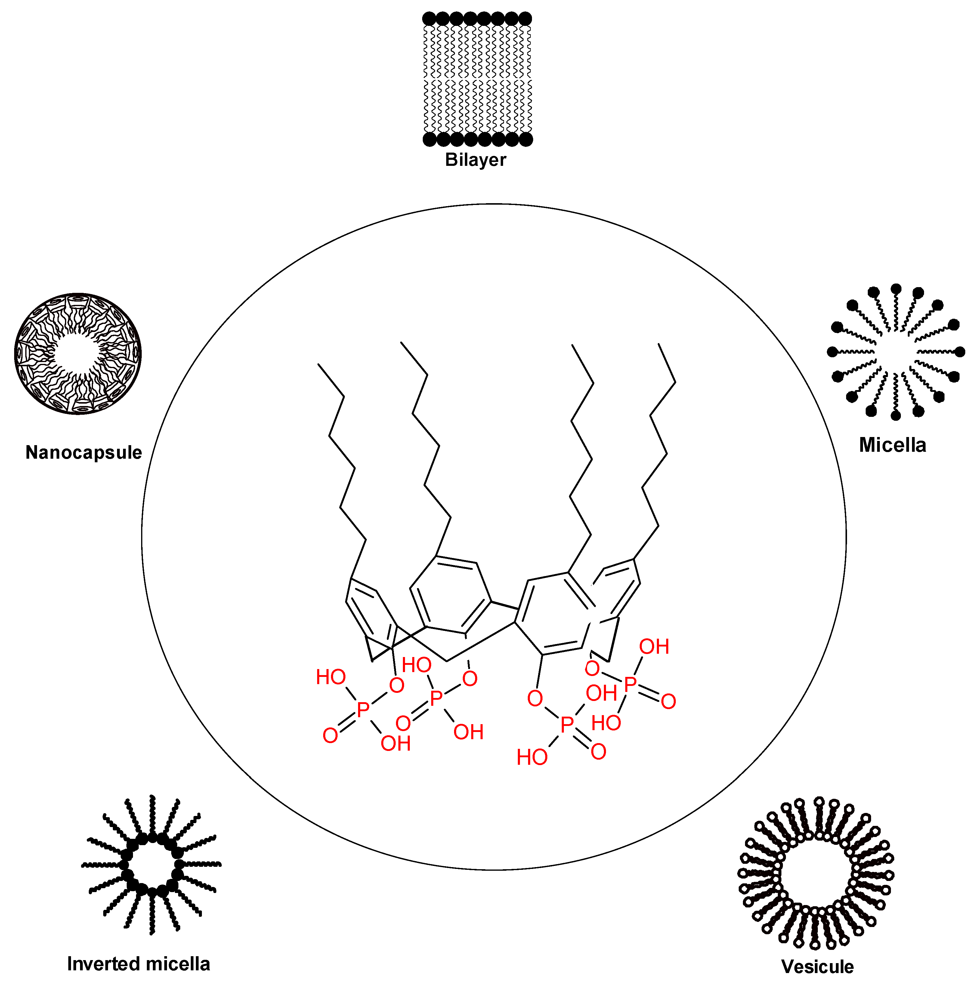 Biomolecules 09 00090 g006 Biomolecules 09 00090 g006