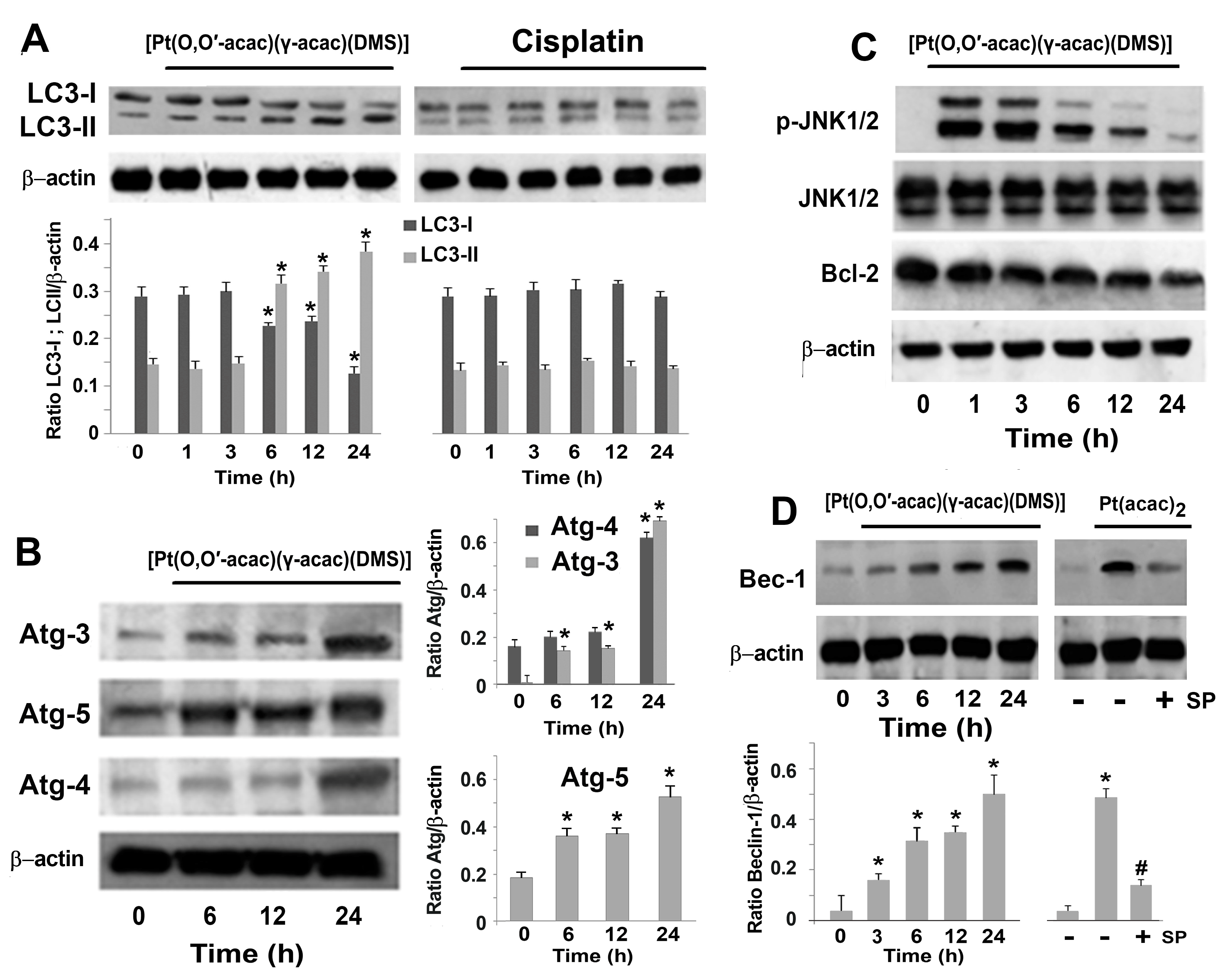 Biomolecules 09 00092 g004