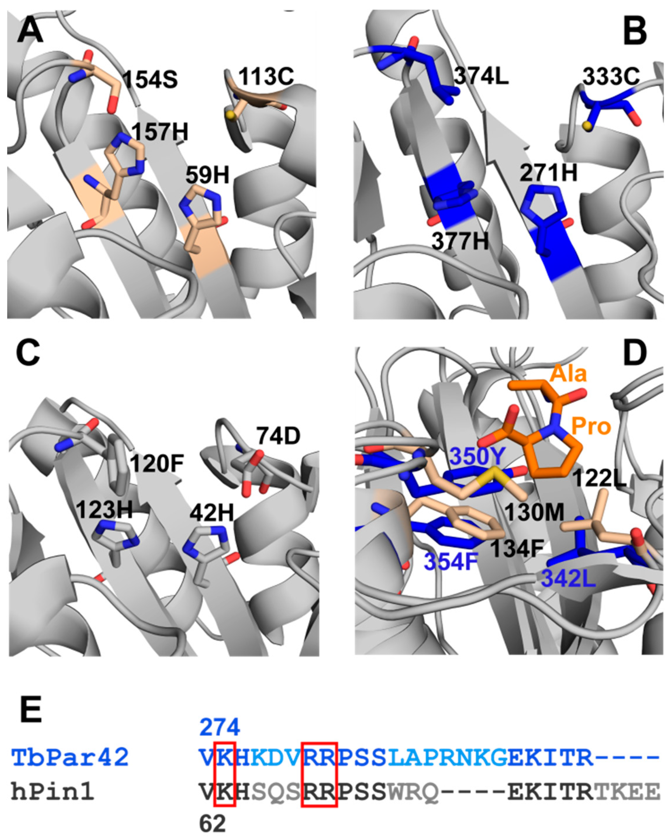 Biomolecules 09 00093 g003 Biomolecules 09 00093 g003