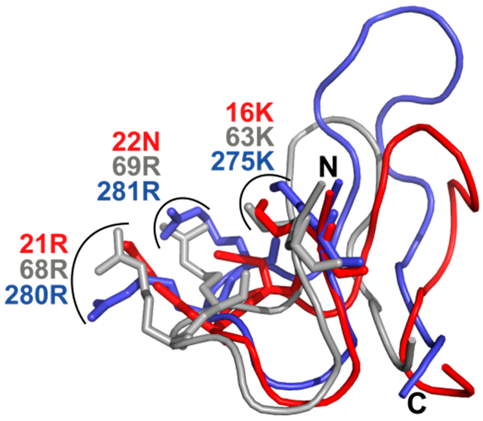 Biomolecules 09 00093 g006 Biomolecules 09 00093 g006