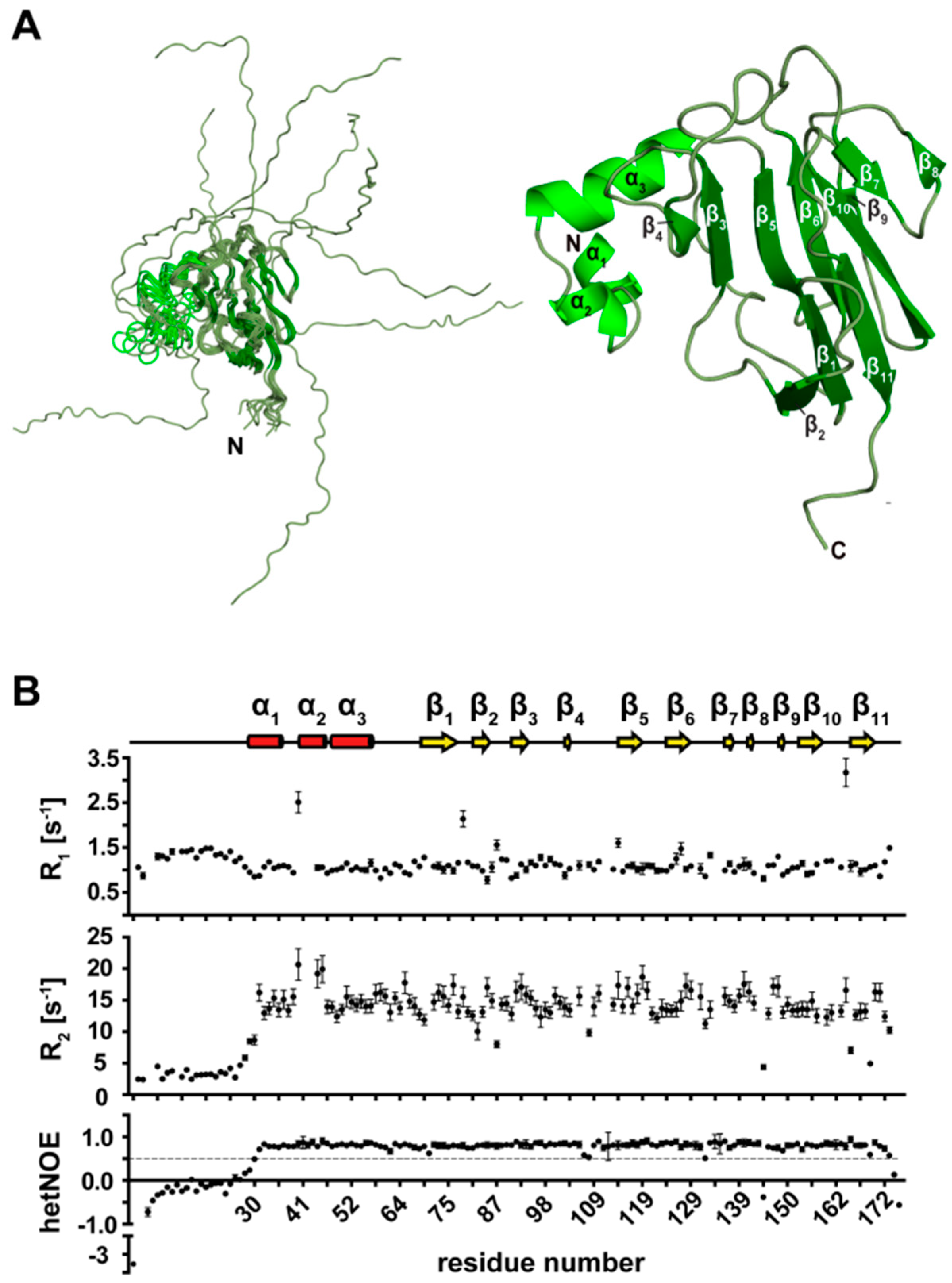 Biomolecules 09 00093 g007 Biomolecules 09 00093 g007