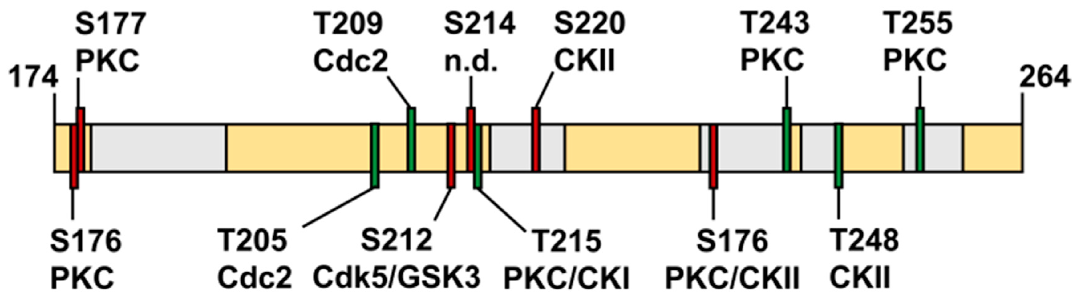 Biomolecules 09 00093 g010 Biomolecules 09 00093 g010