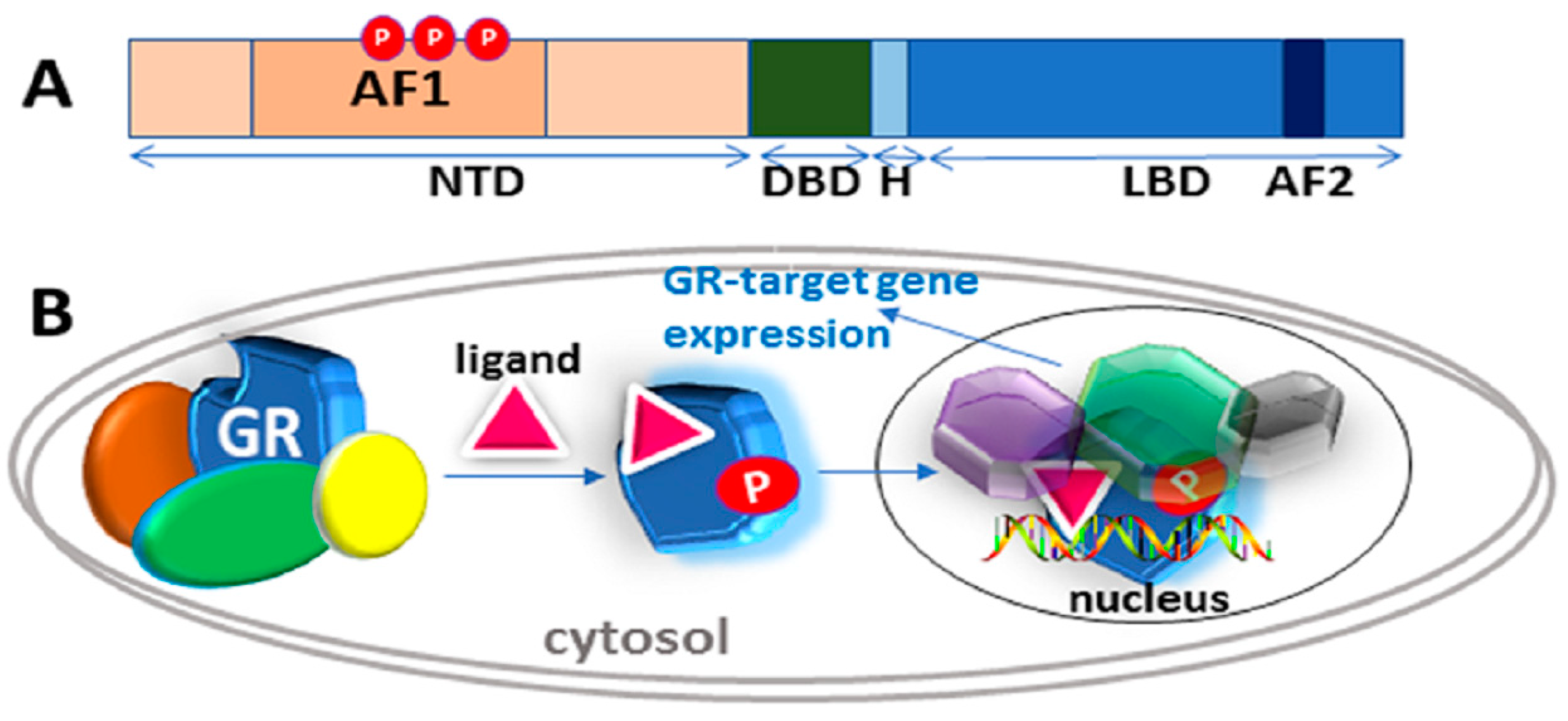 Biomolecules 09 00095 g001