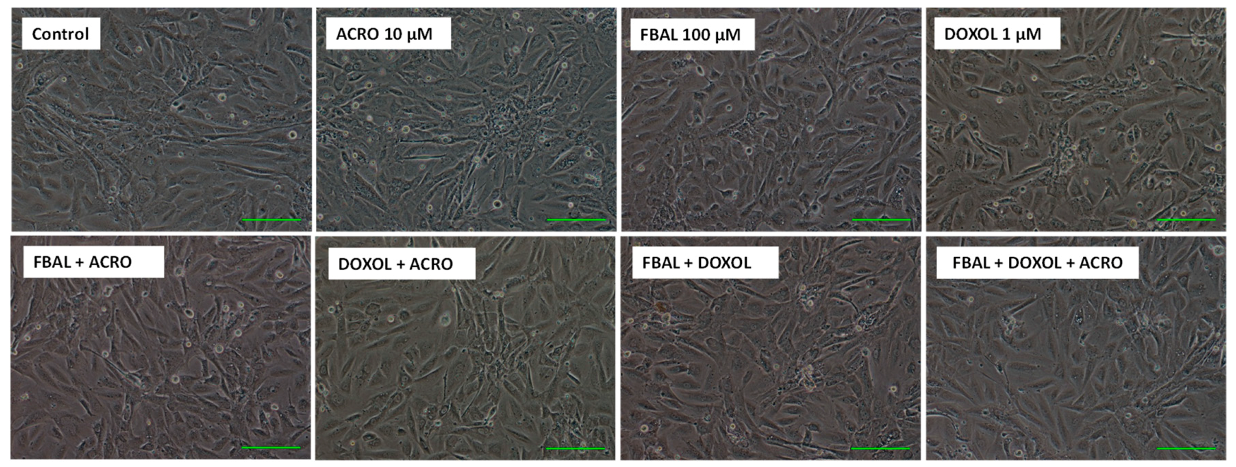 Biomolecules 09 00098 g008