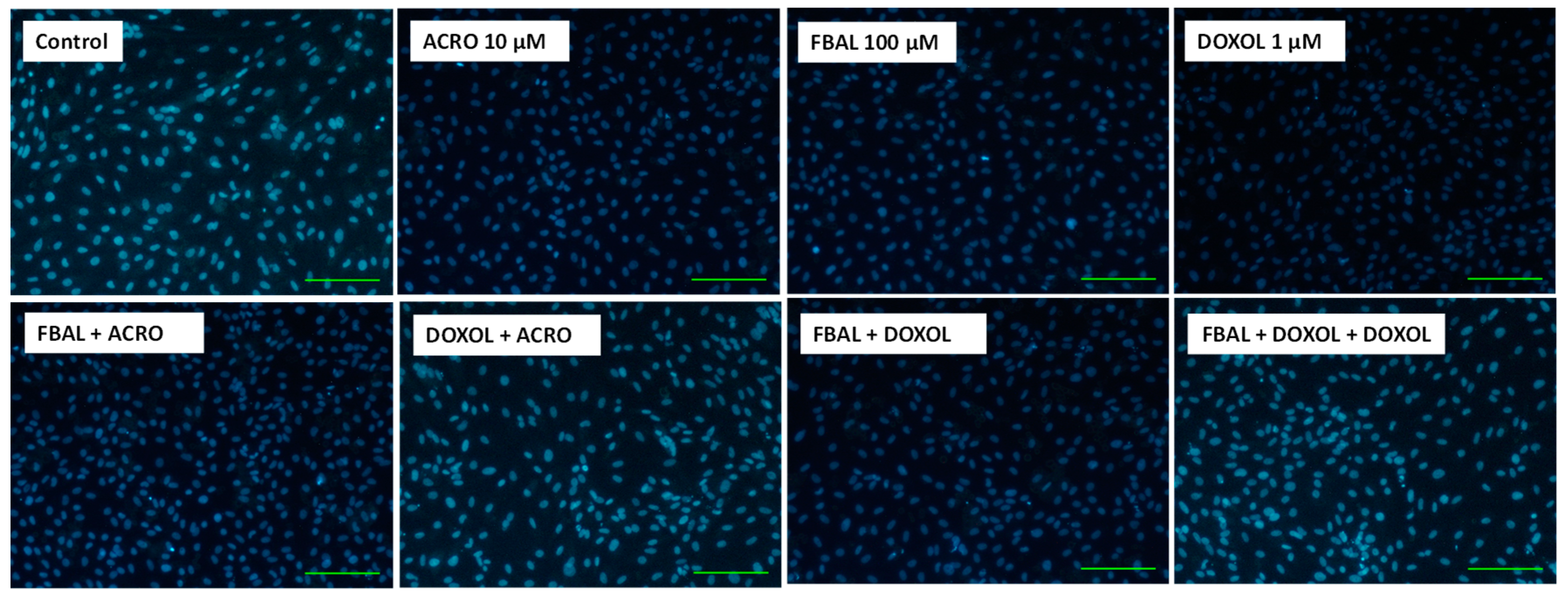 Biomolecules 09 00098 g009