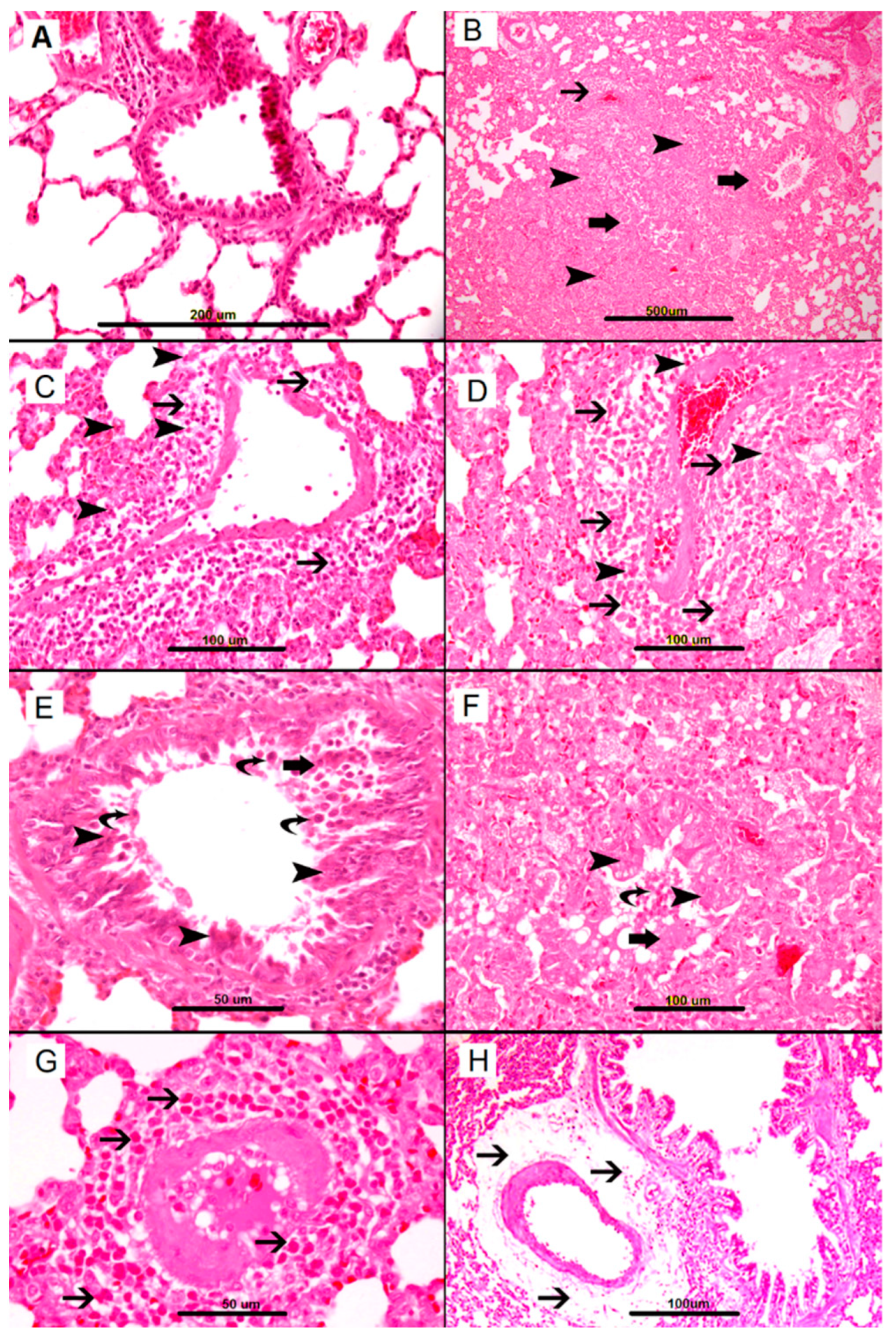 Biomolecules 09 00101 g001 Biomolecules 09 00101 g001