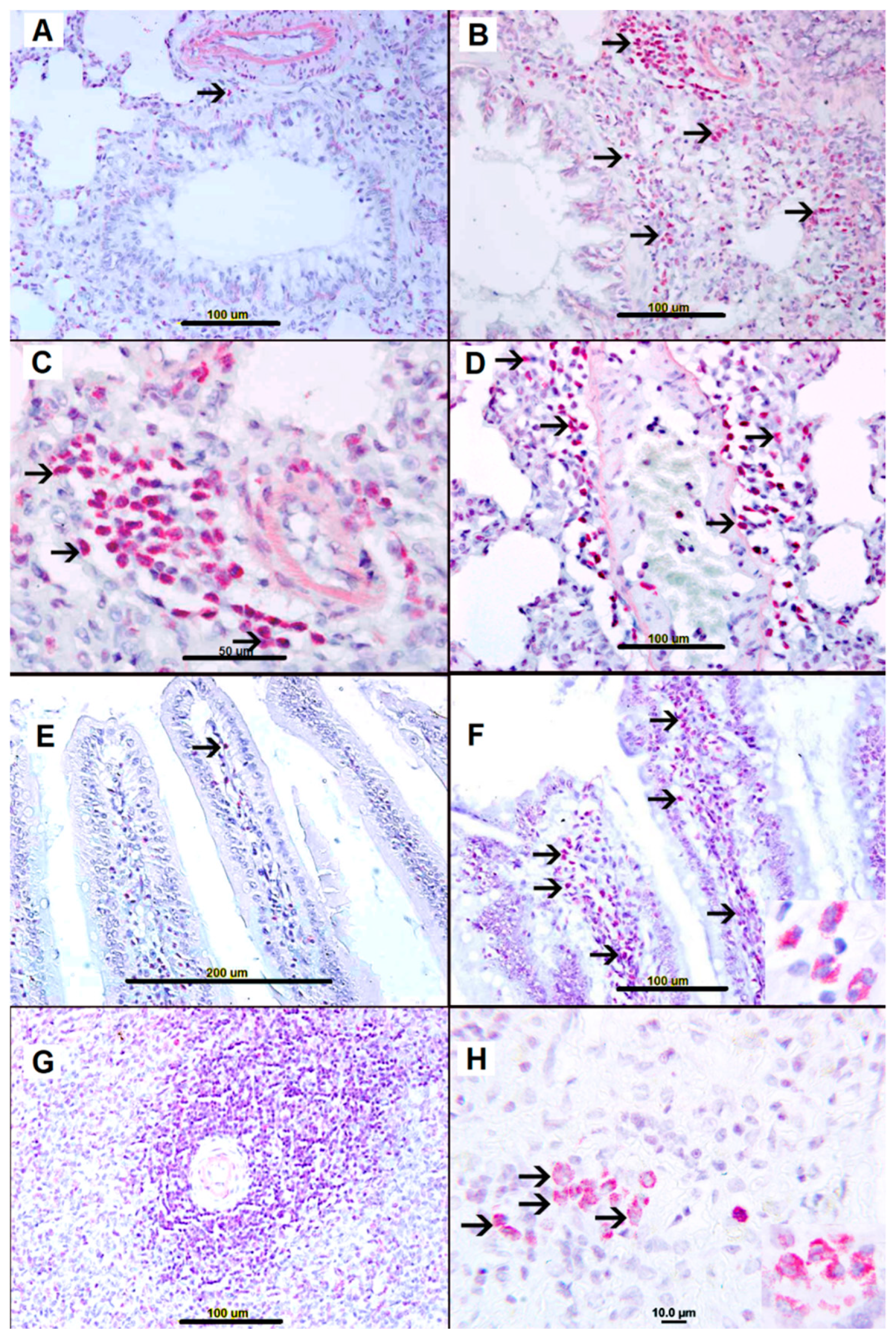 Biomolecules 09 00101 g003 Biomolecules 09 00101 g003
