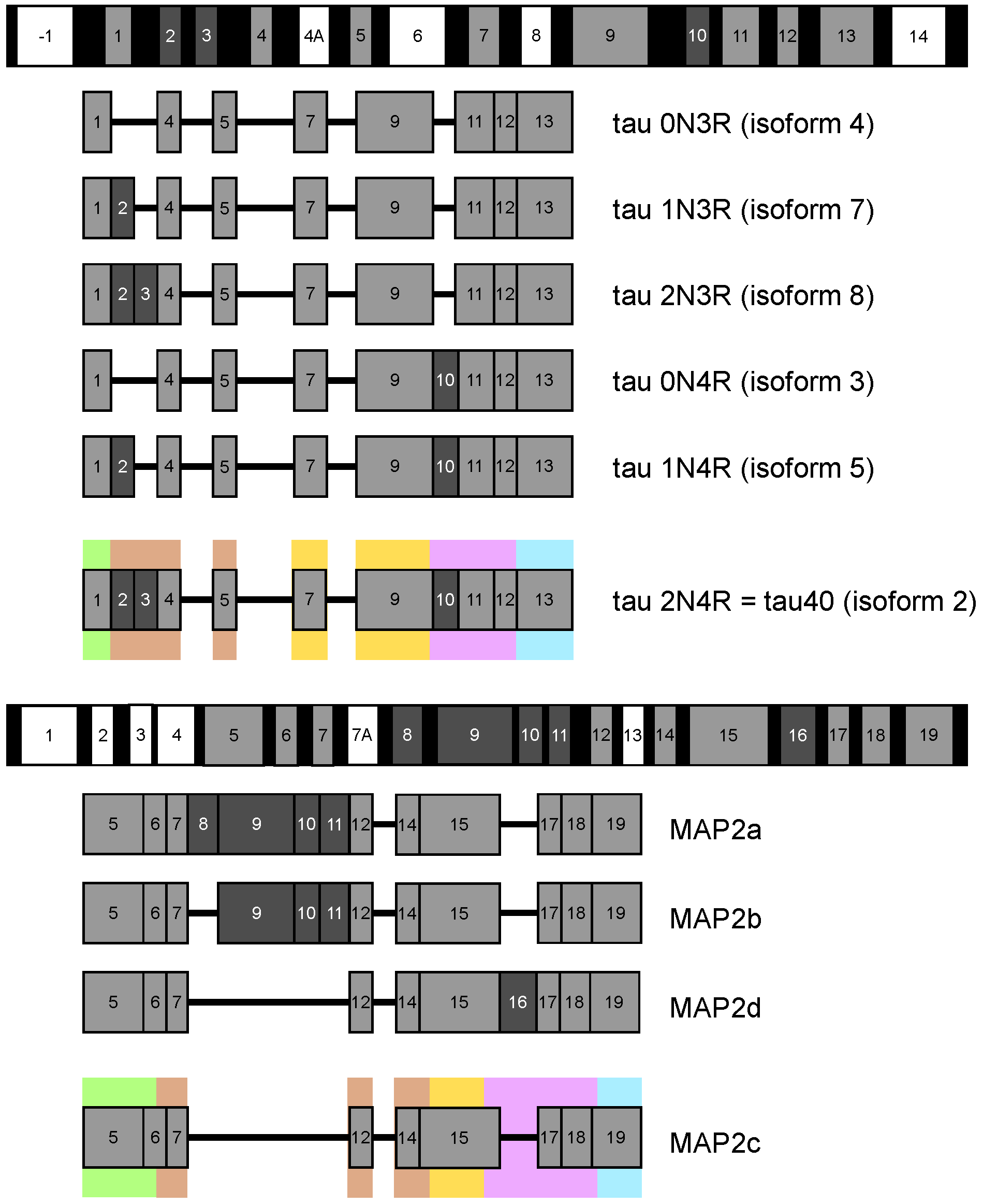 Biomolecules 09 00105 g001 Biomolecules 09 00105 g001