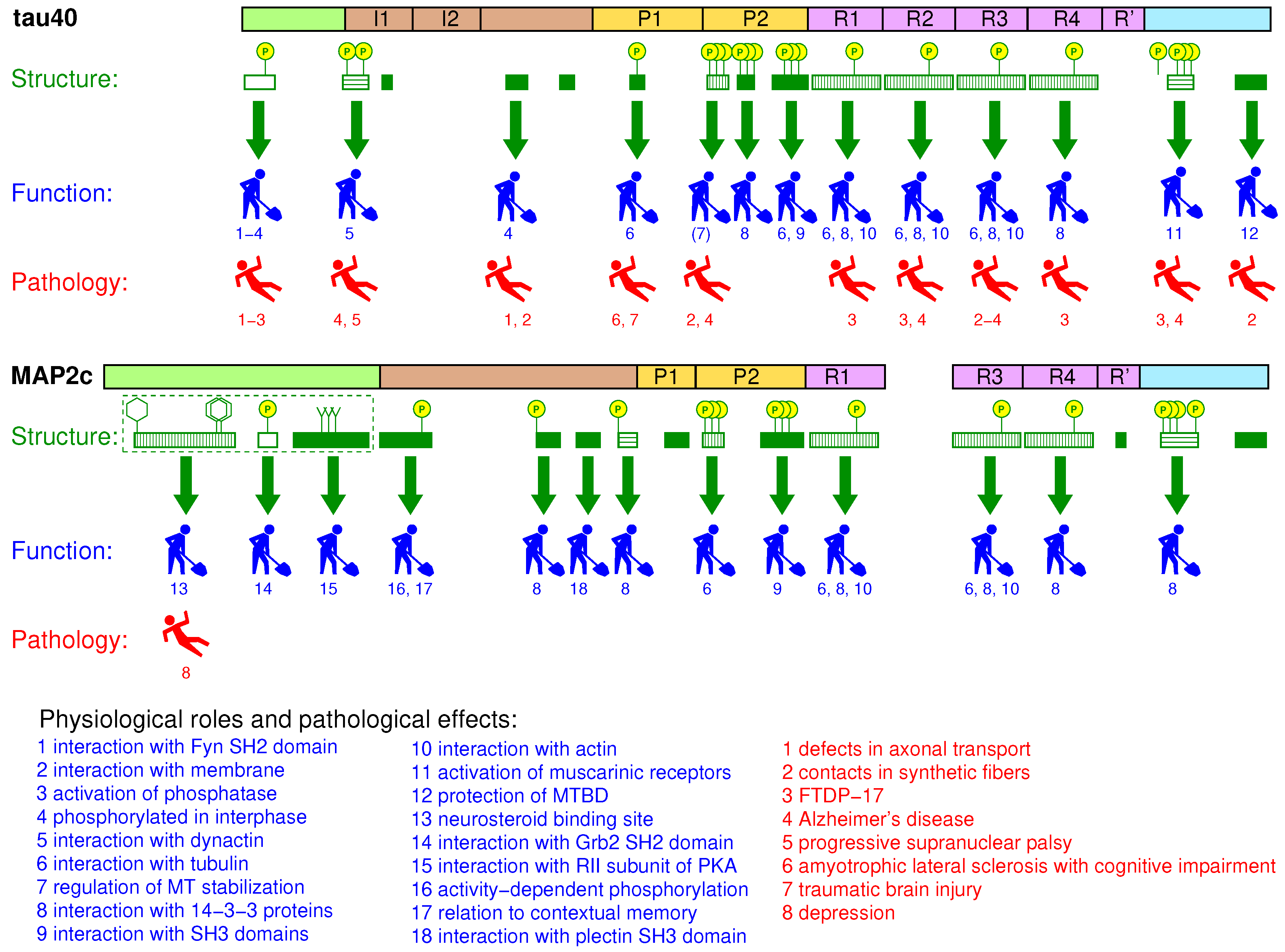 Biomolecules 09 00105 g008 Biomolecules 09 00105 g008
