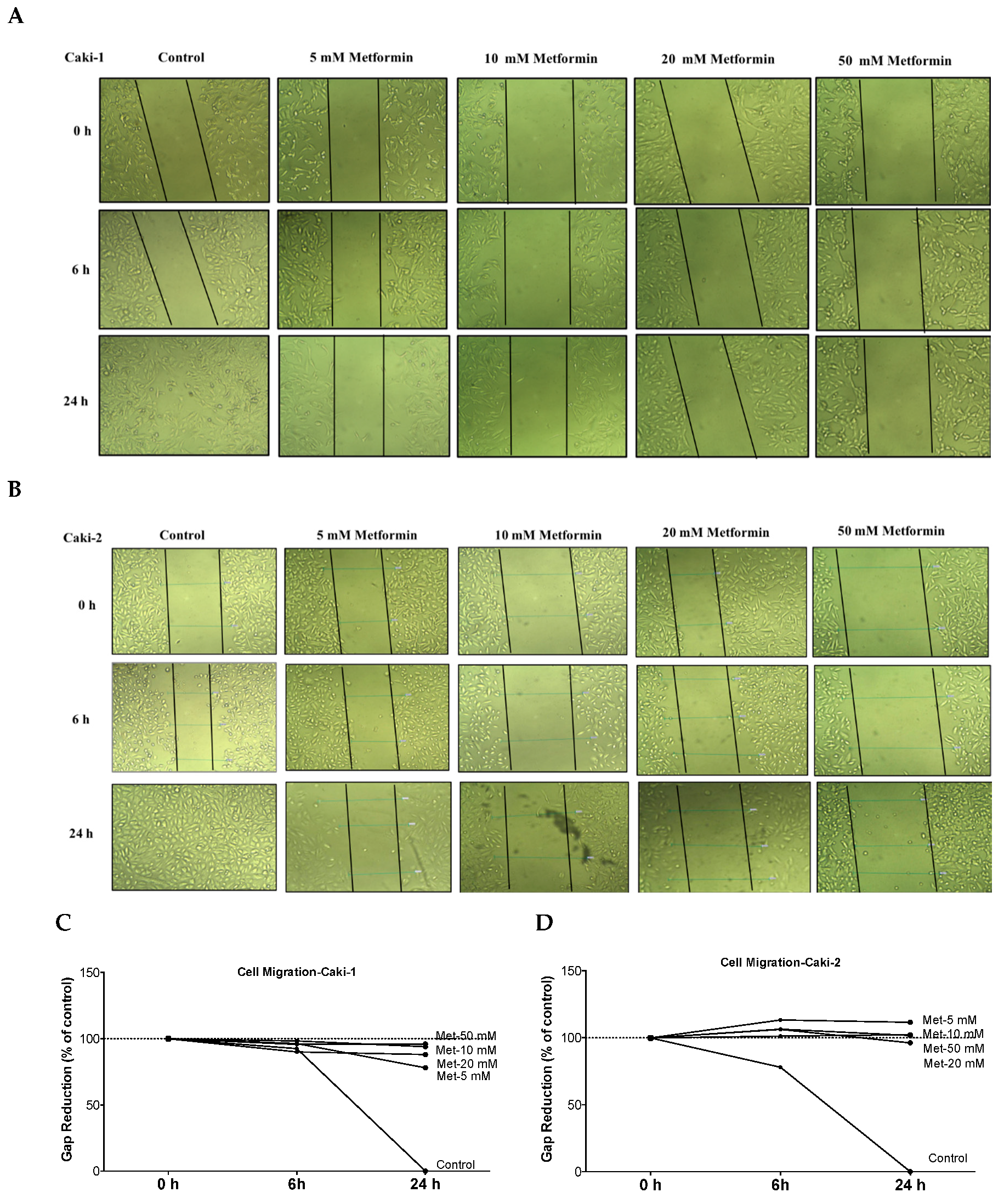 Biomolecules 09 00113 g004a
