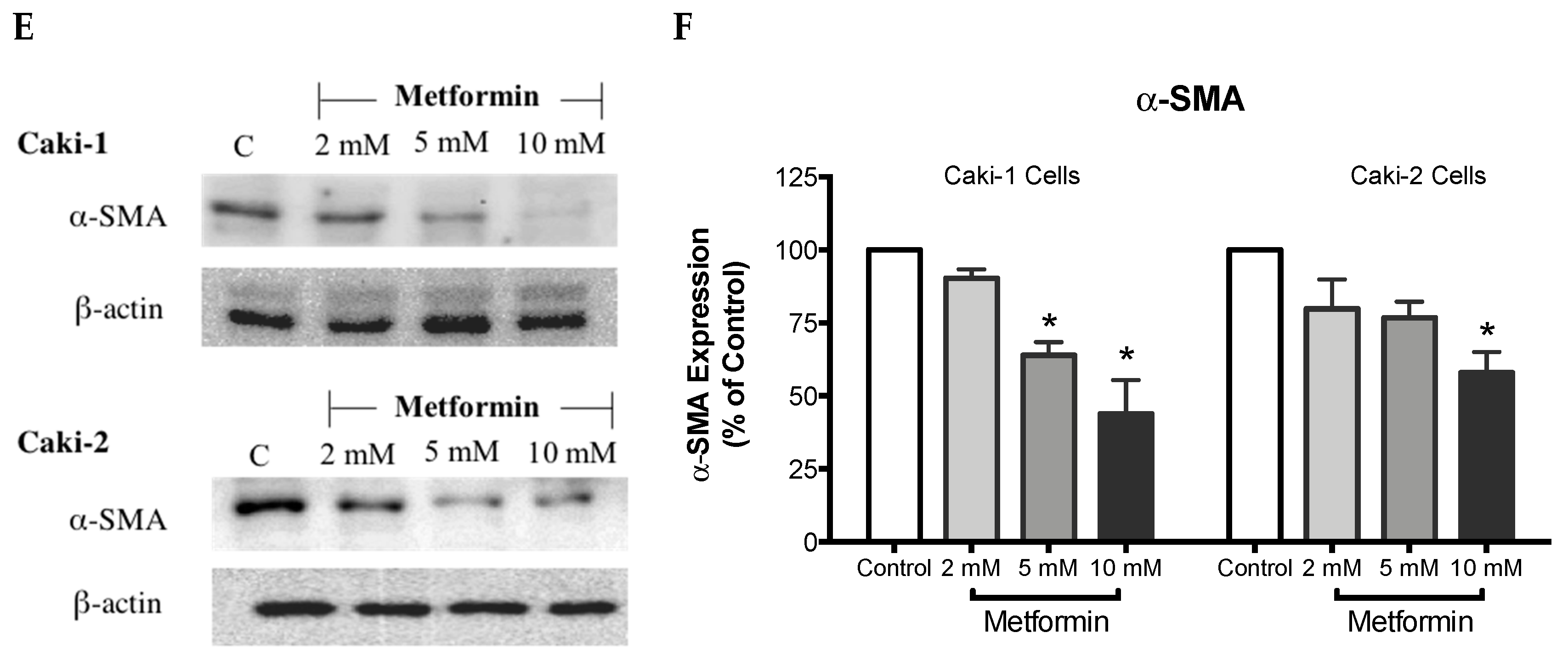 Biomolecules 09 00113 g004b