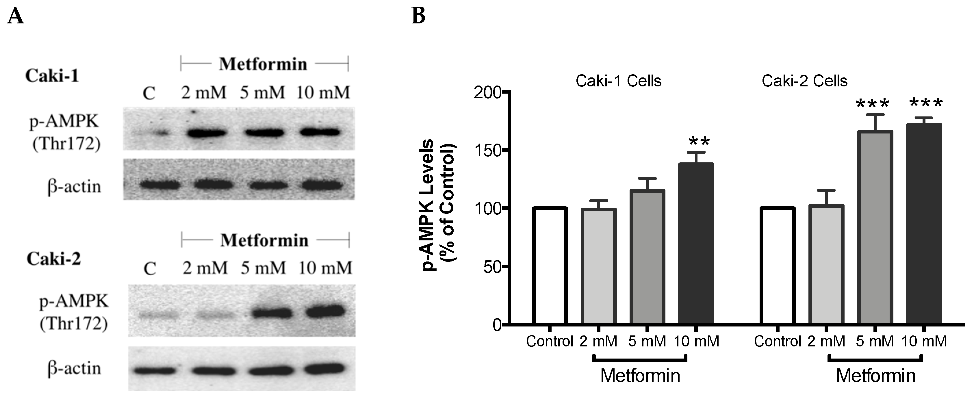 Biomolecules 09 00113 g006a