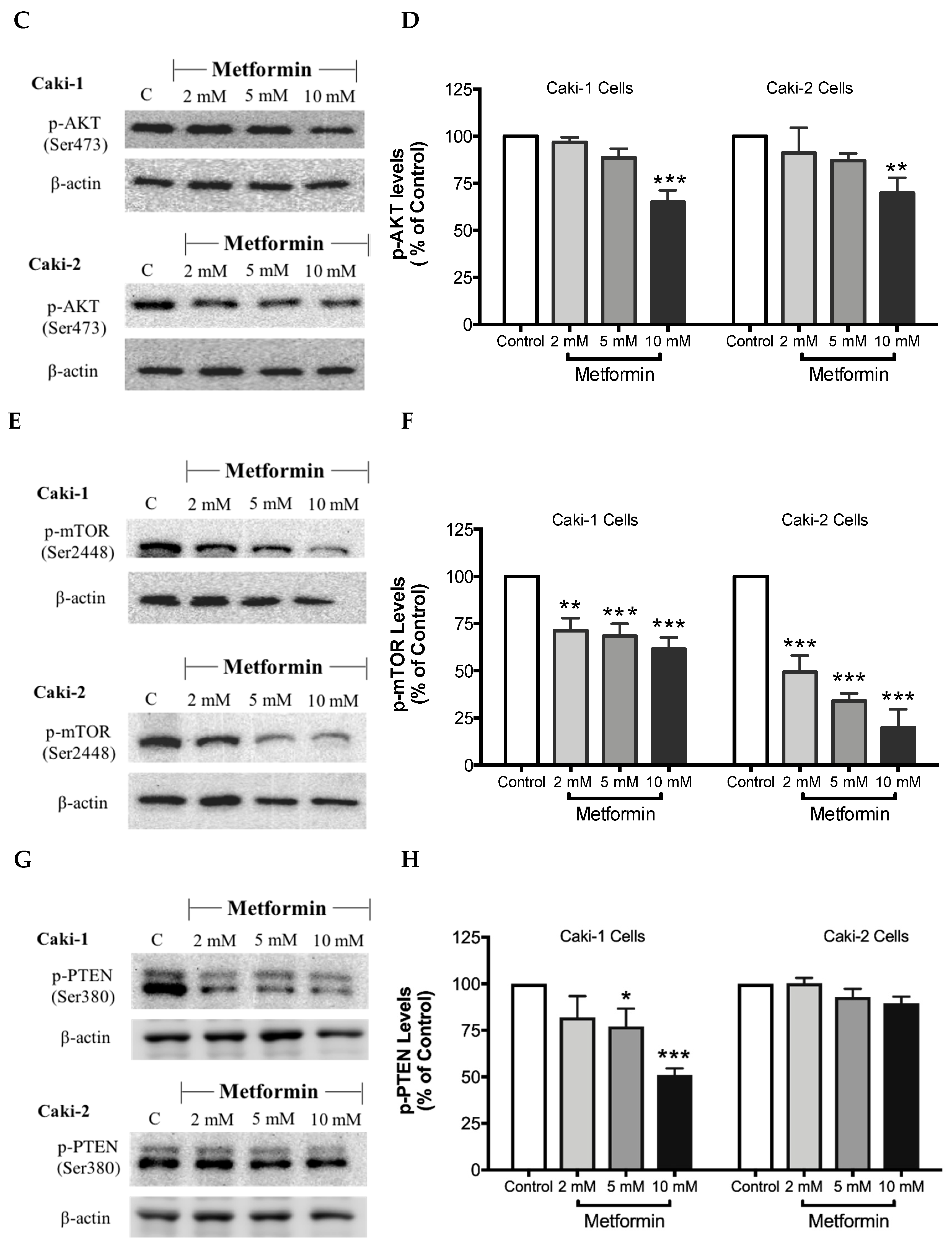 Biomolecules 09 00113 g006b