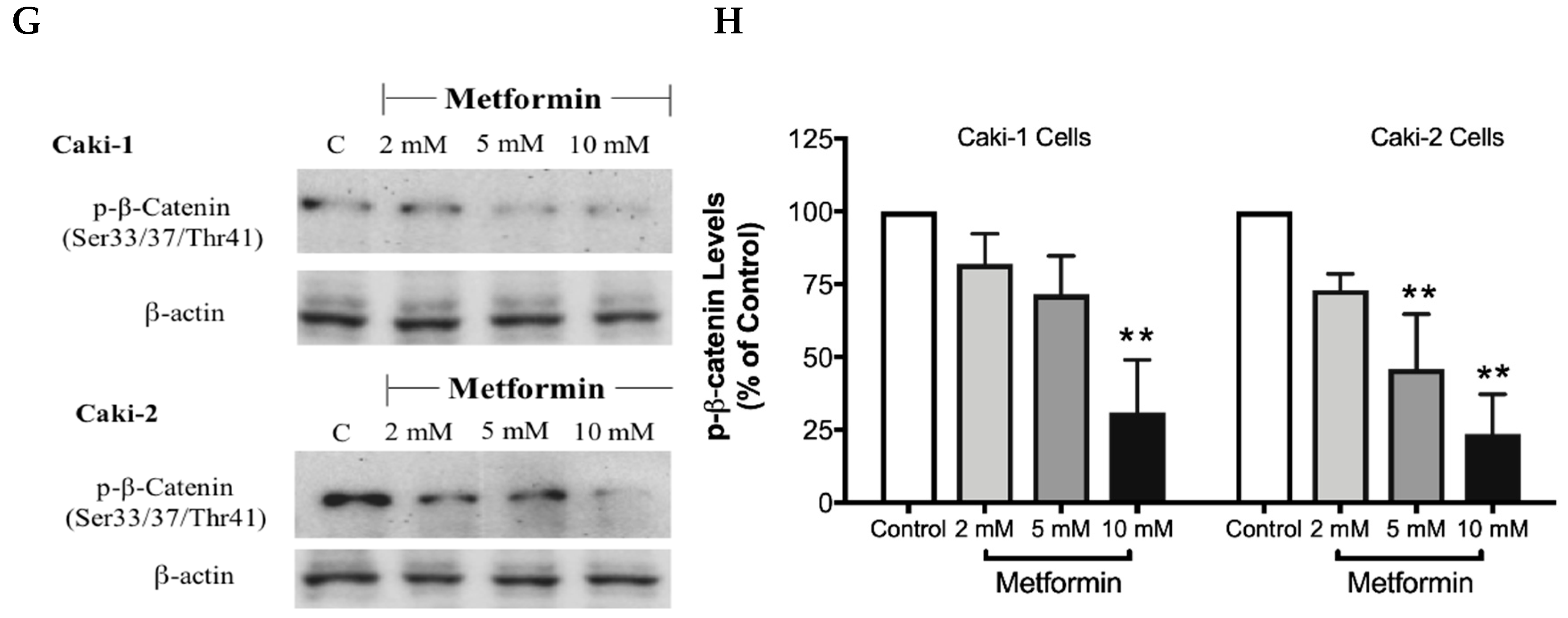 Biomolecules 09 00113 g008b
