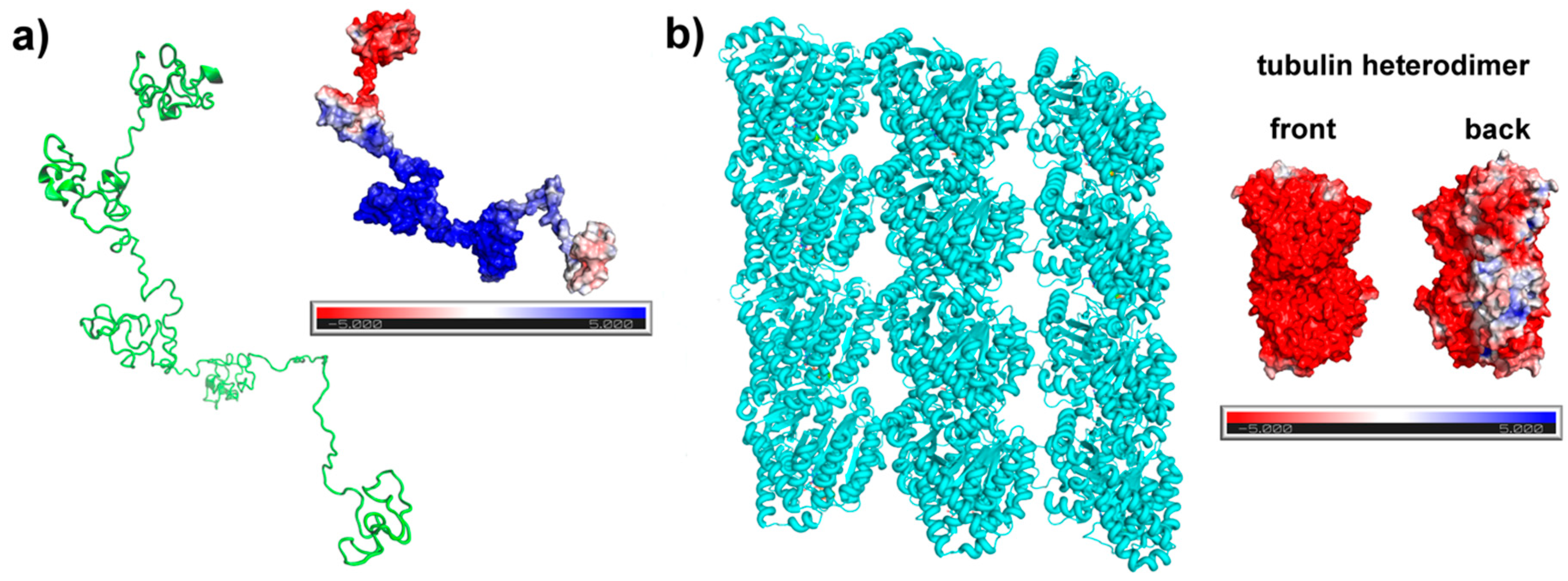Biomolecules 09 00116 g004