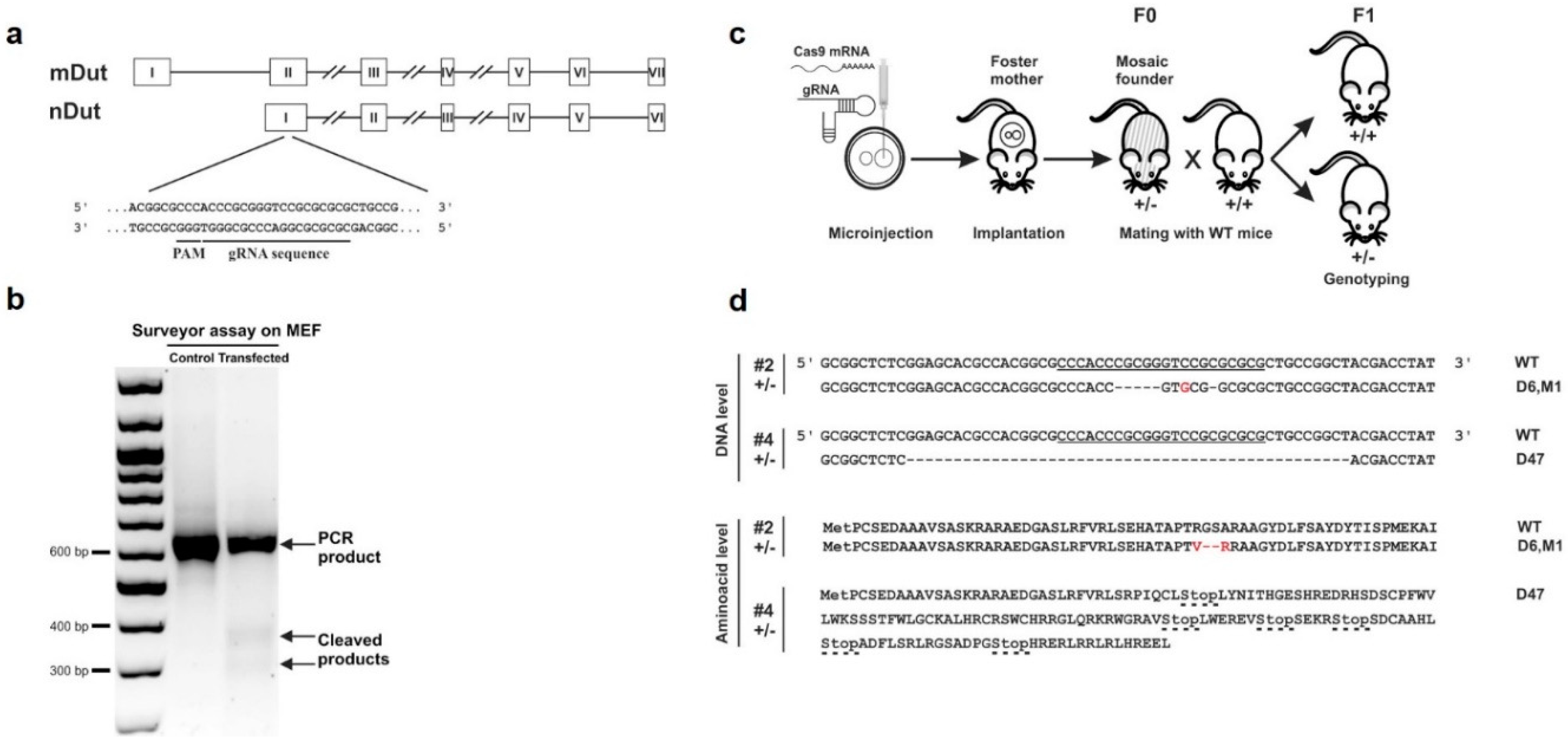 Biomolecules 09 00136 g001