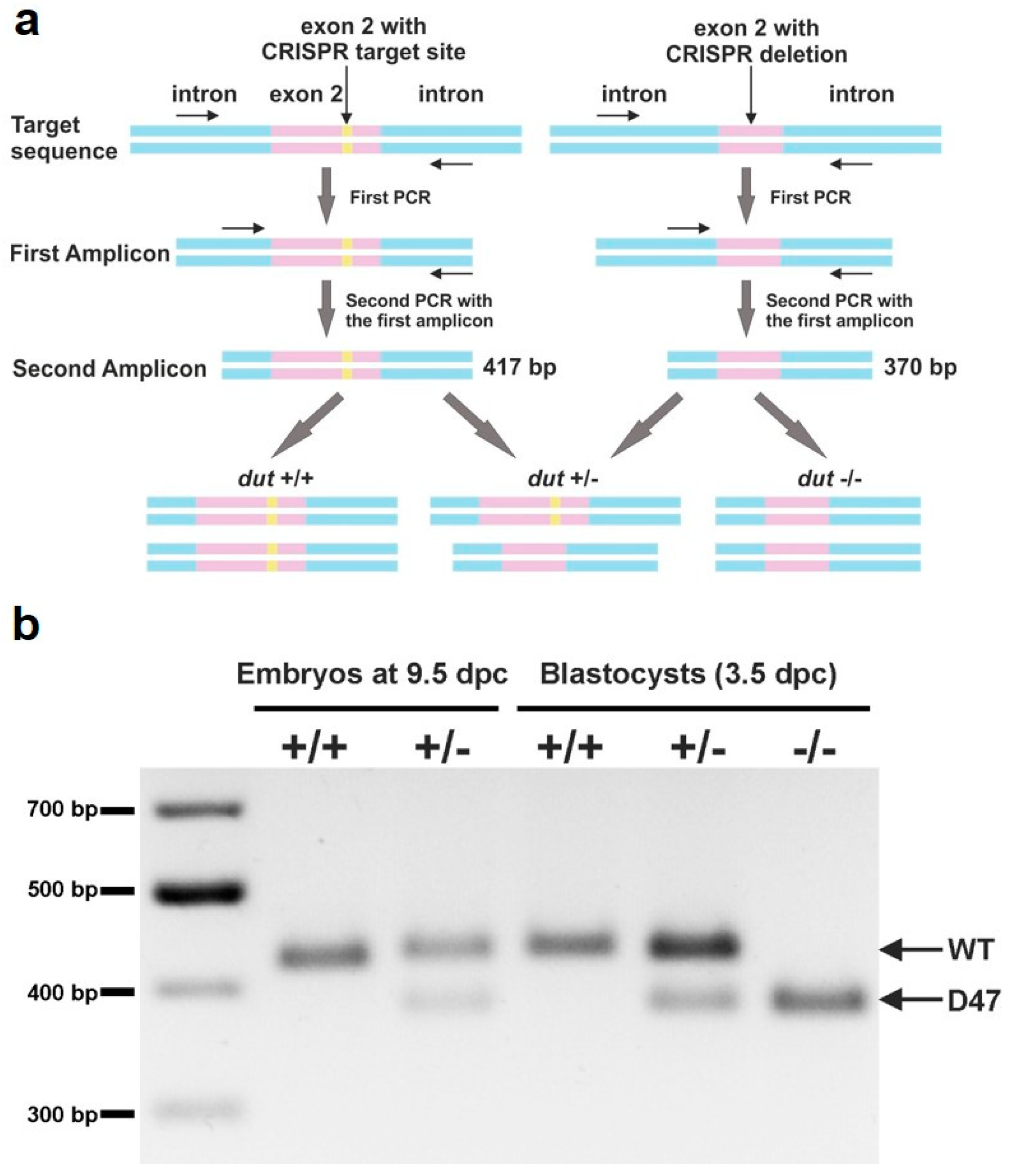 Biomolecules 09 00136 g002