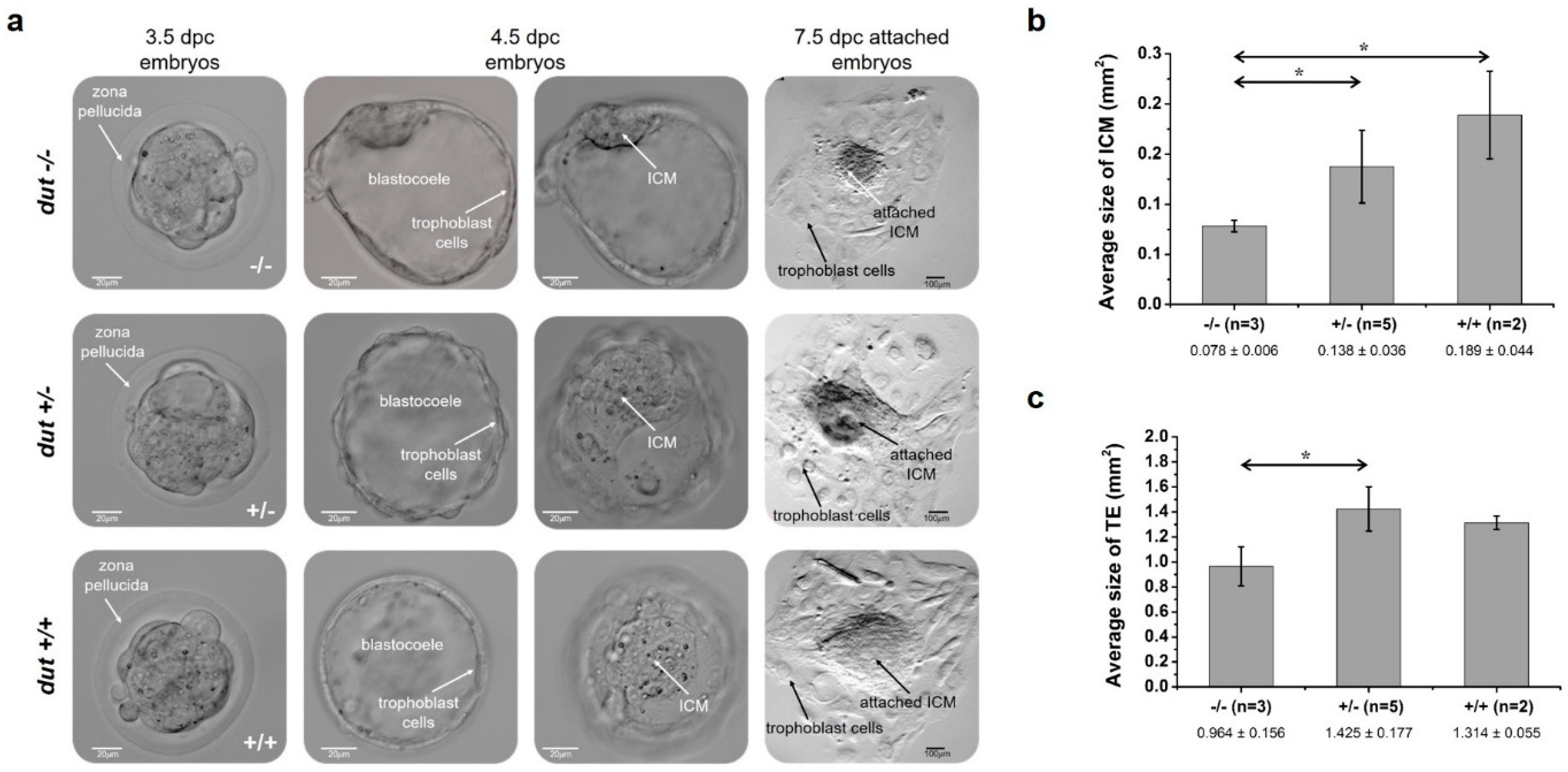 Biomolecules 09 00136 g003