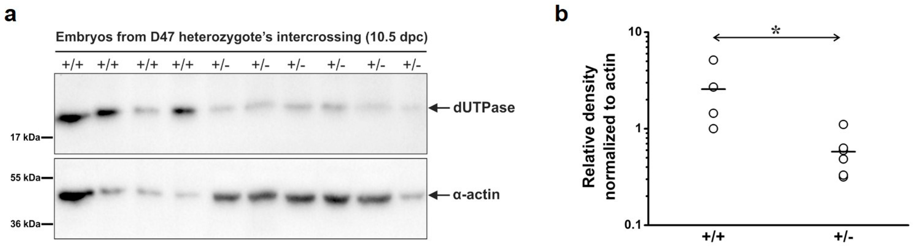 Biomolecules 09 00136 g005