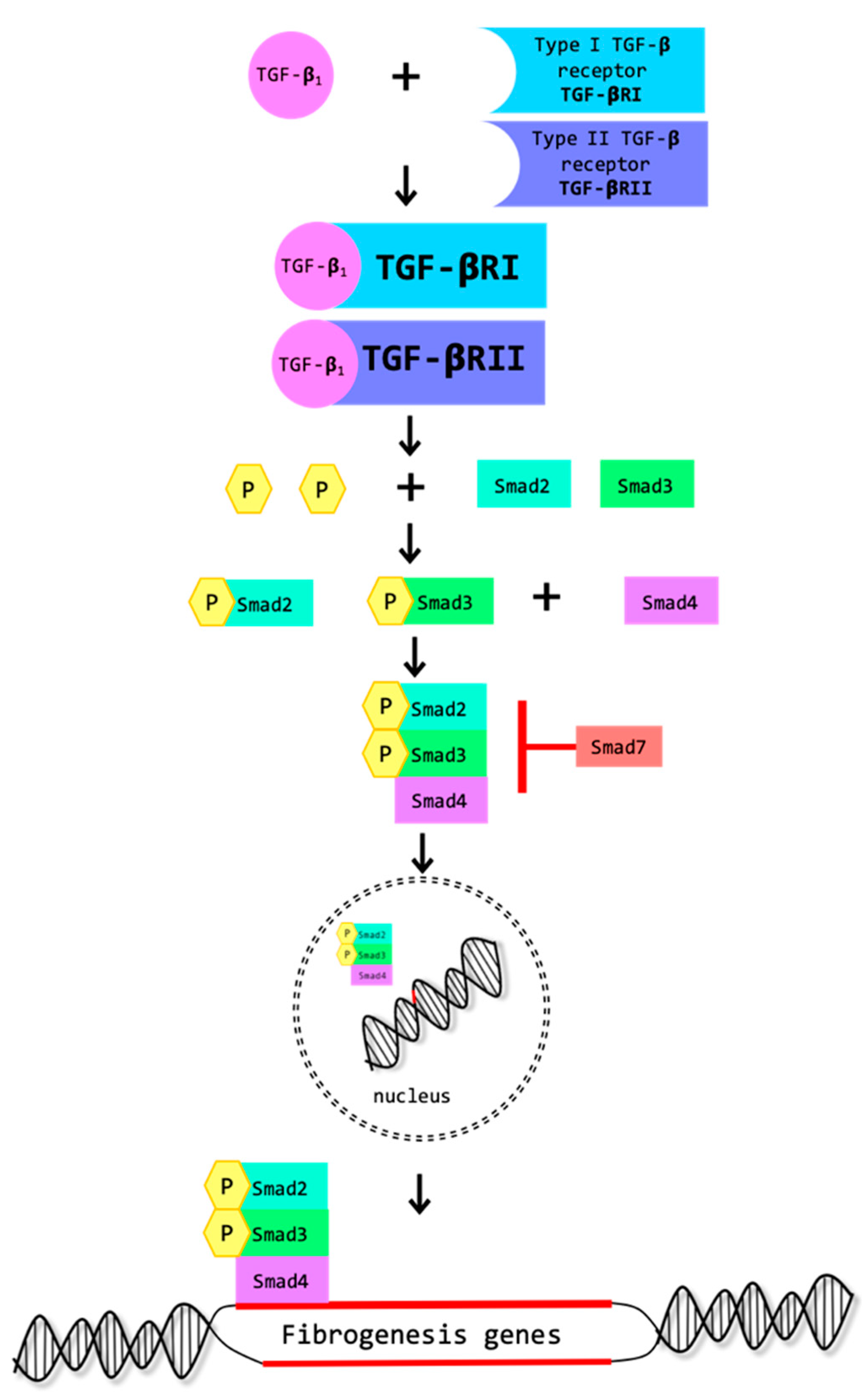 Biomolecules 09 00141 g002 Biomolecules 09 00141 g002