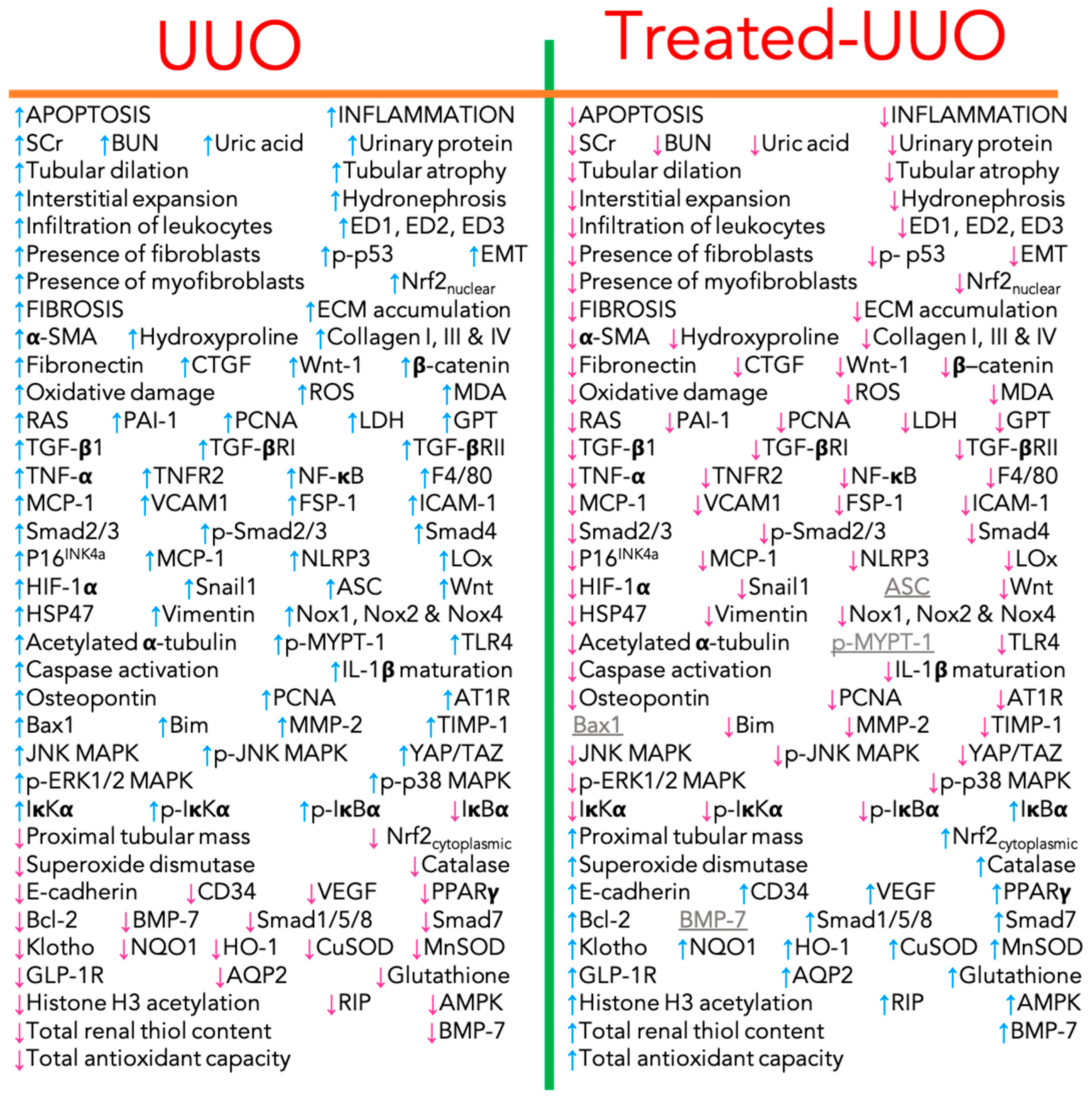 Biomolecules 09 00141 g007 Biomolecules 09 00141 g007