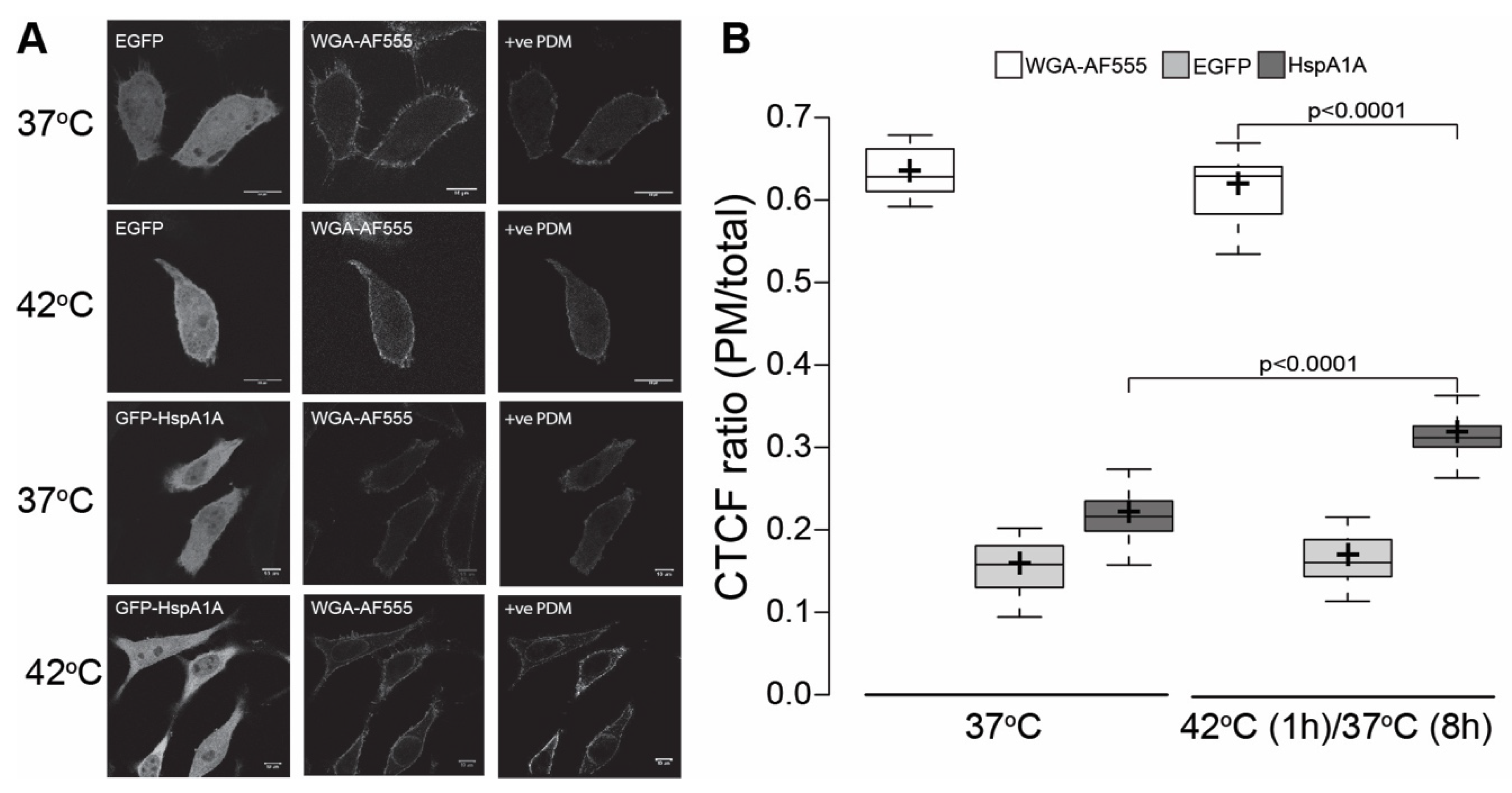 Biomolecules 09 00152 g001