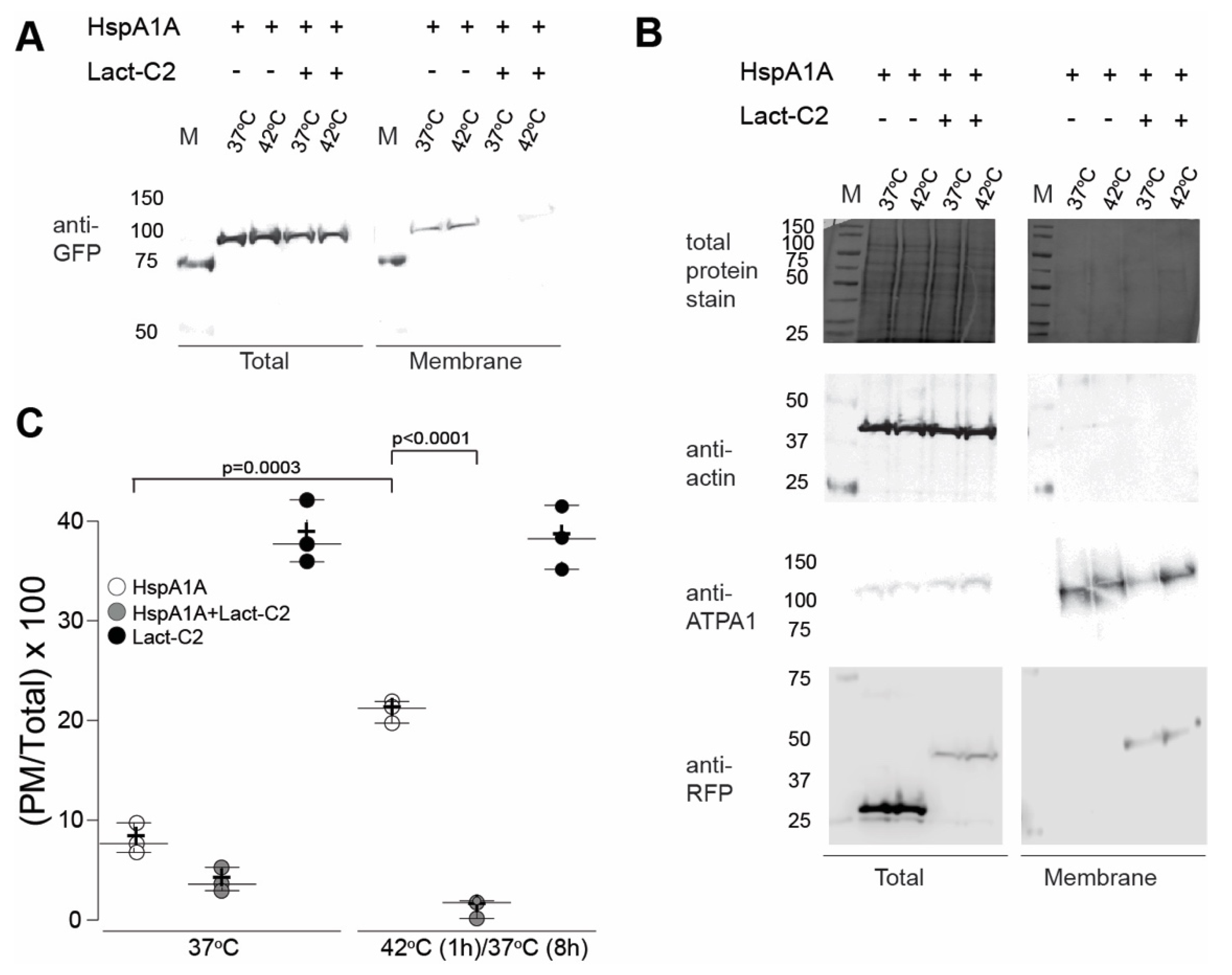 Biomolecules 09 00152 g005