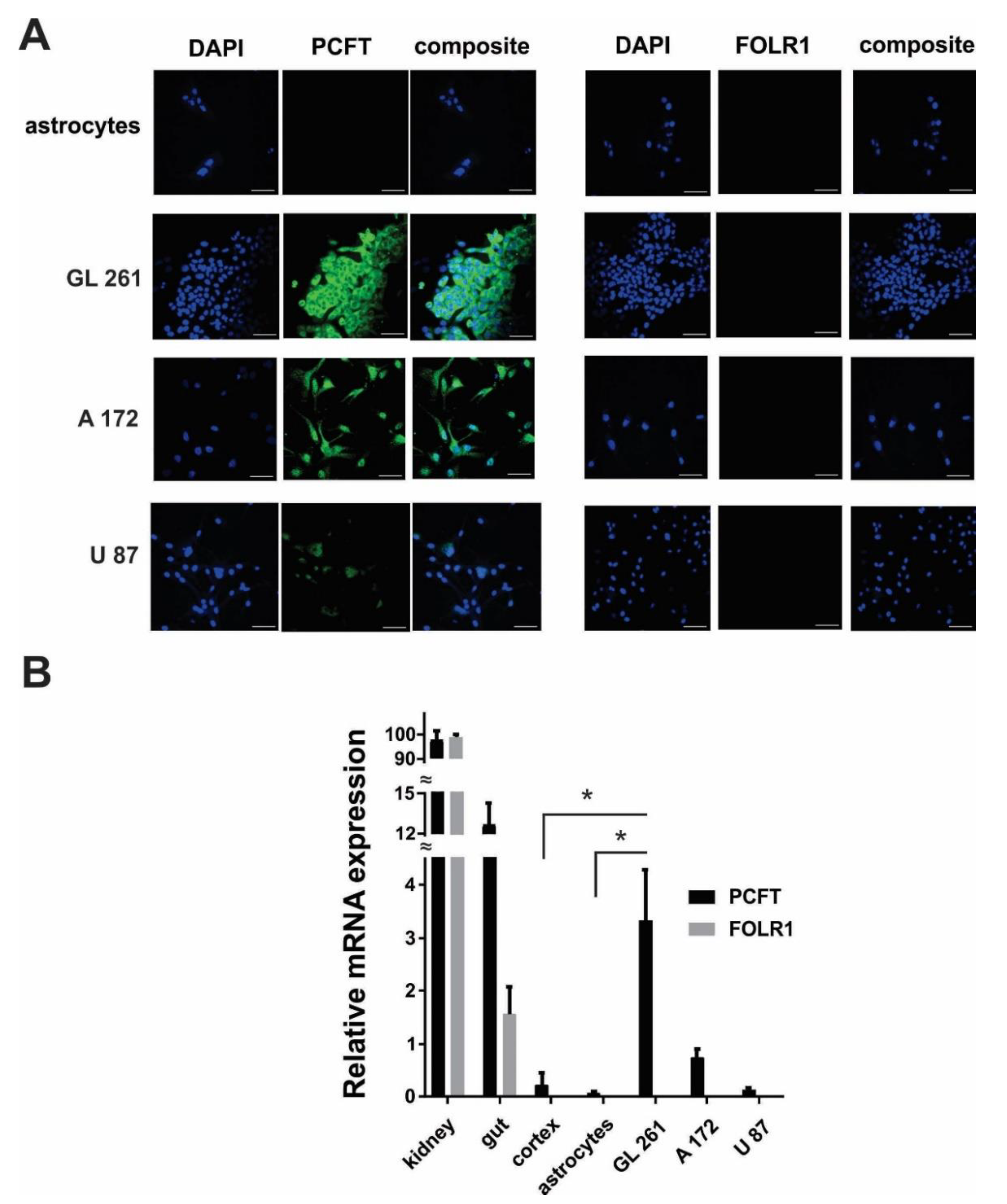 Biomolecules 09 00154 g004