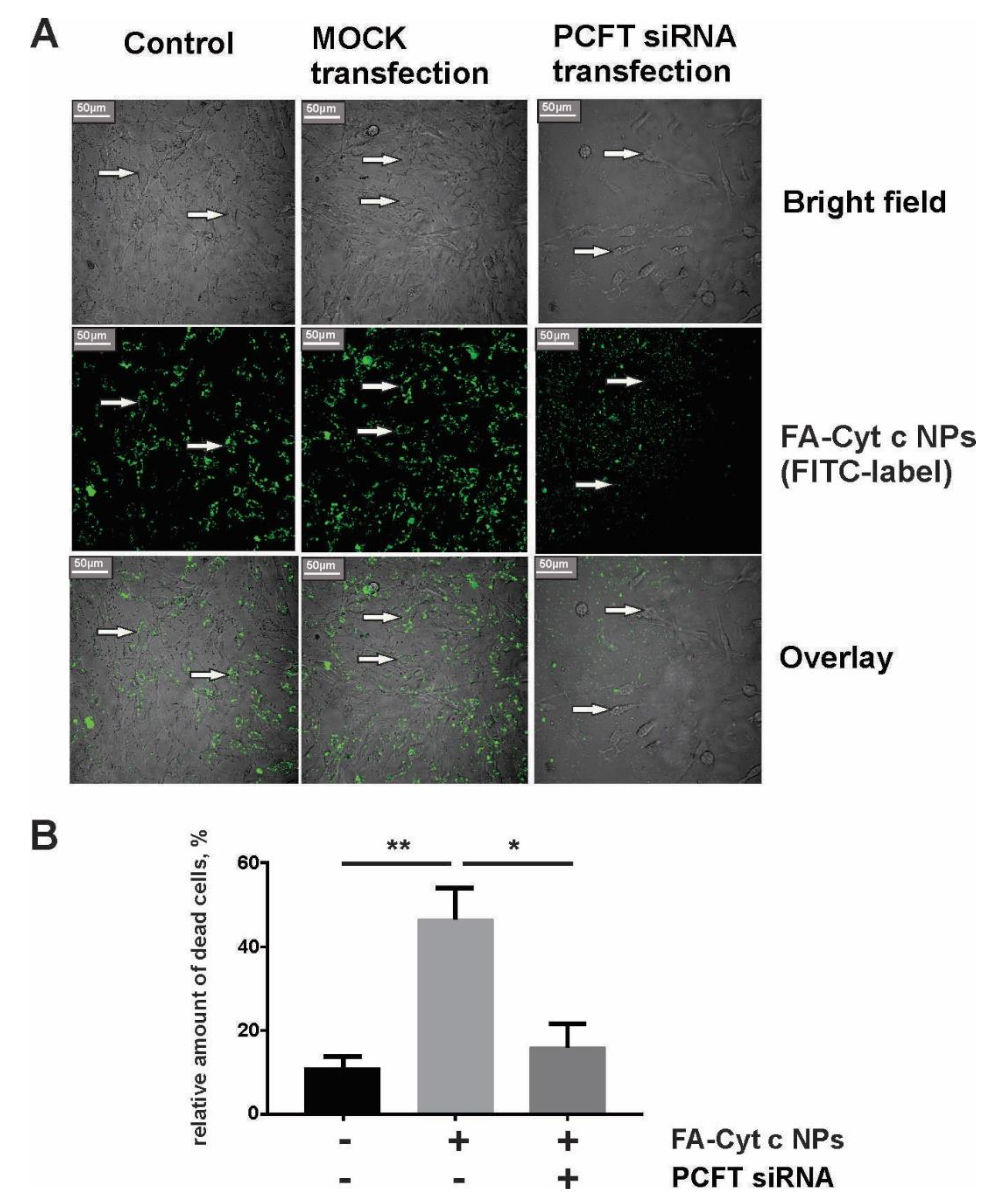 Biomolecules 09 00154 g005