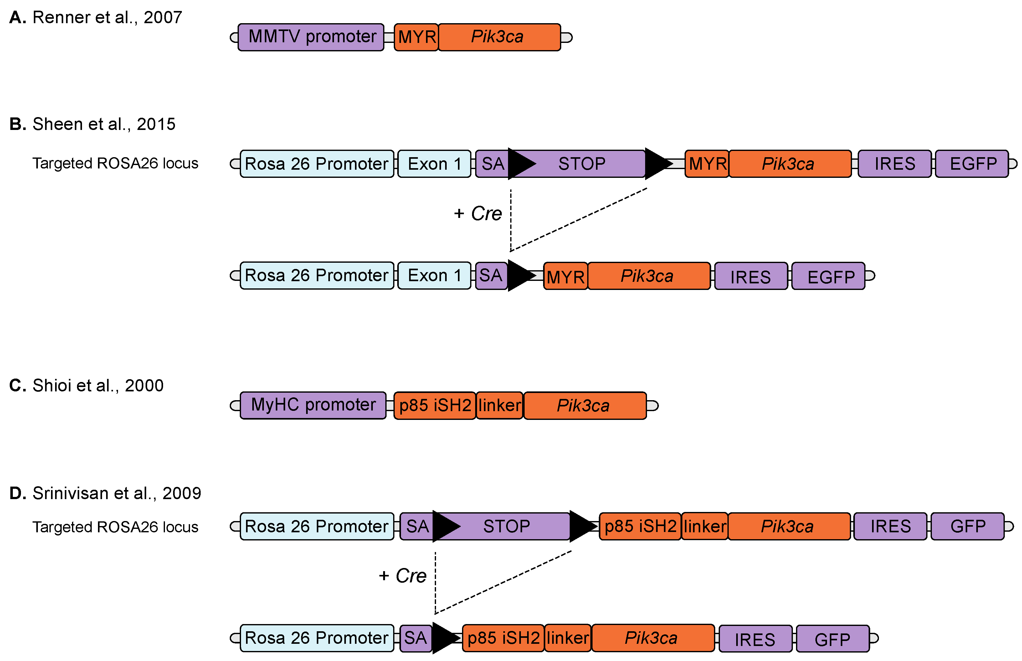 Biomolecules 09 00158 g001 Biomolecules 09 00158 g001