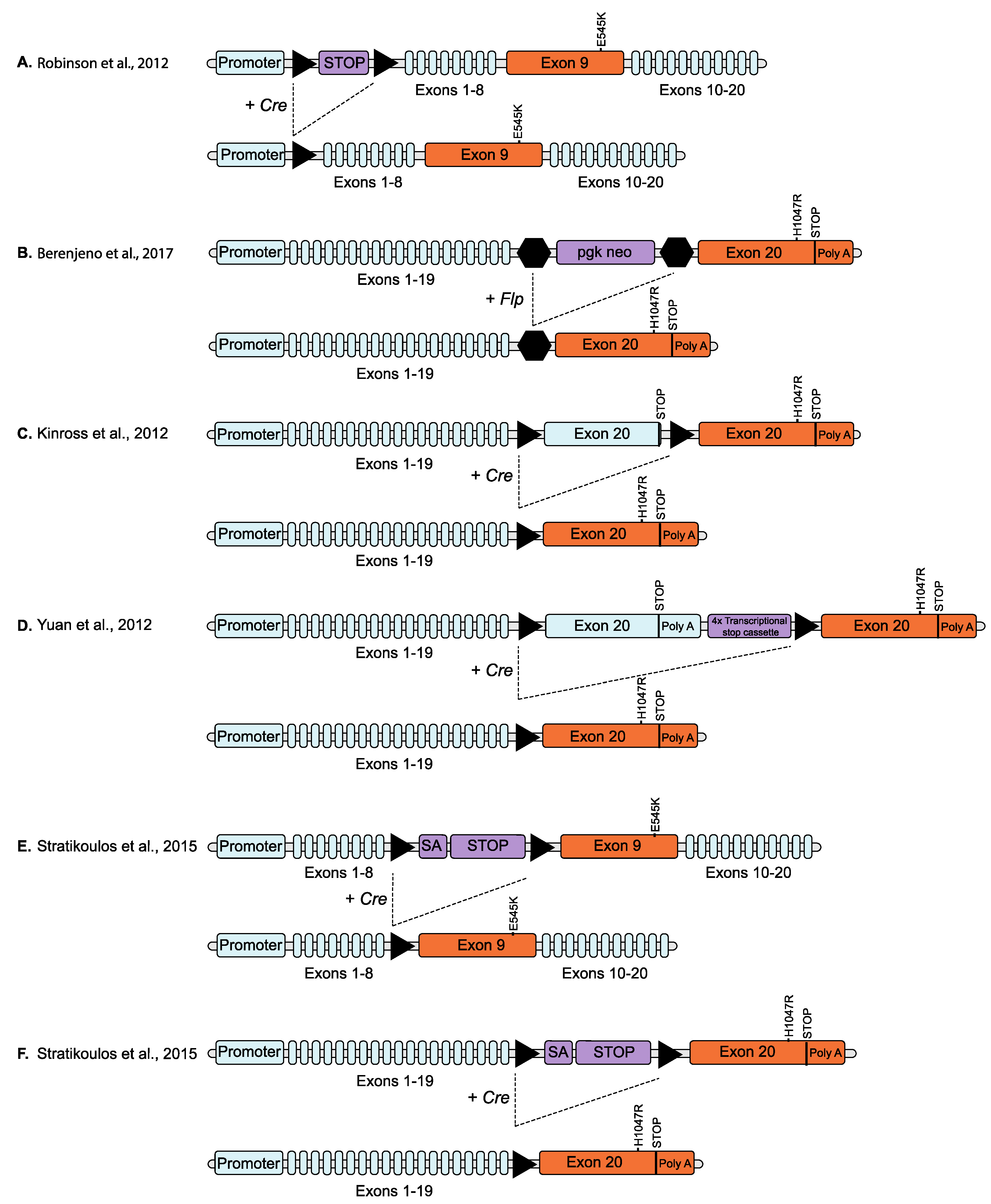 Biomolecules 09 00158 g003 Biomolecules 09 00158 g003