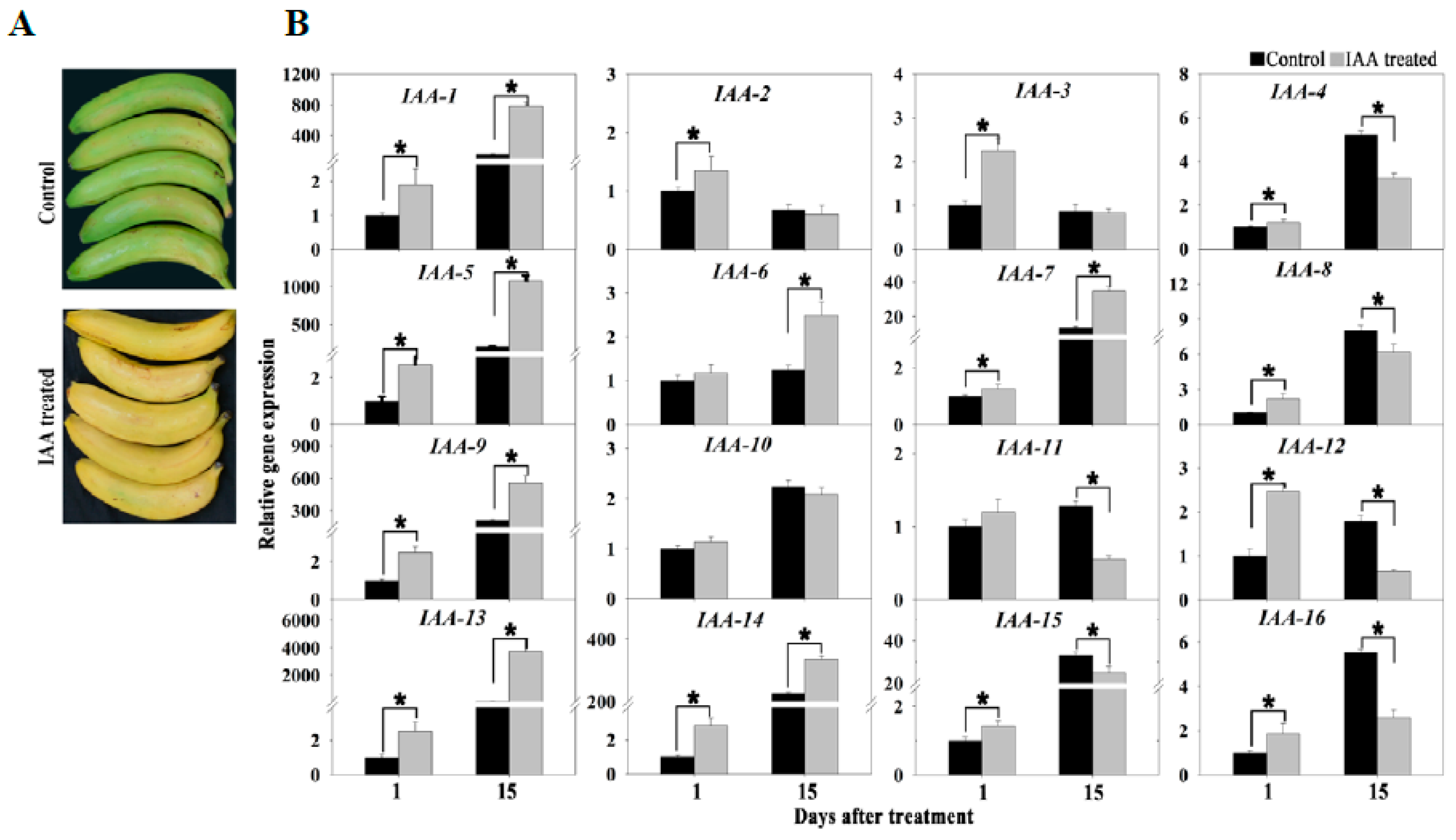 Biomolecules 09 00167 g008 Biomolecules 09 00167 g008