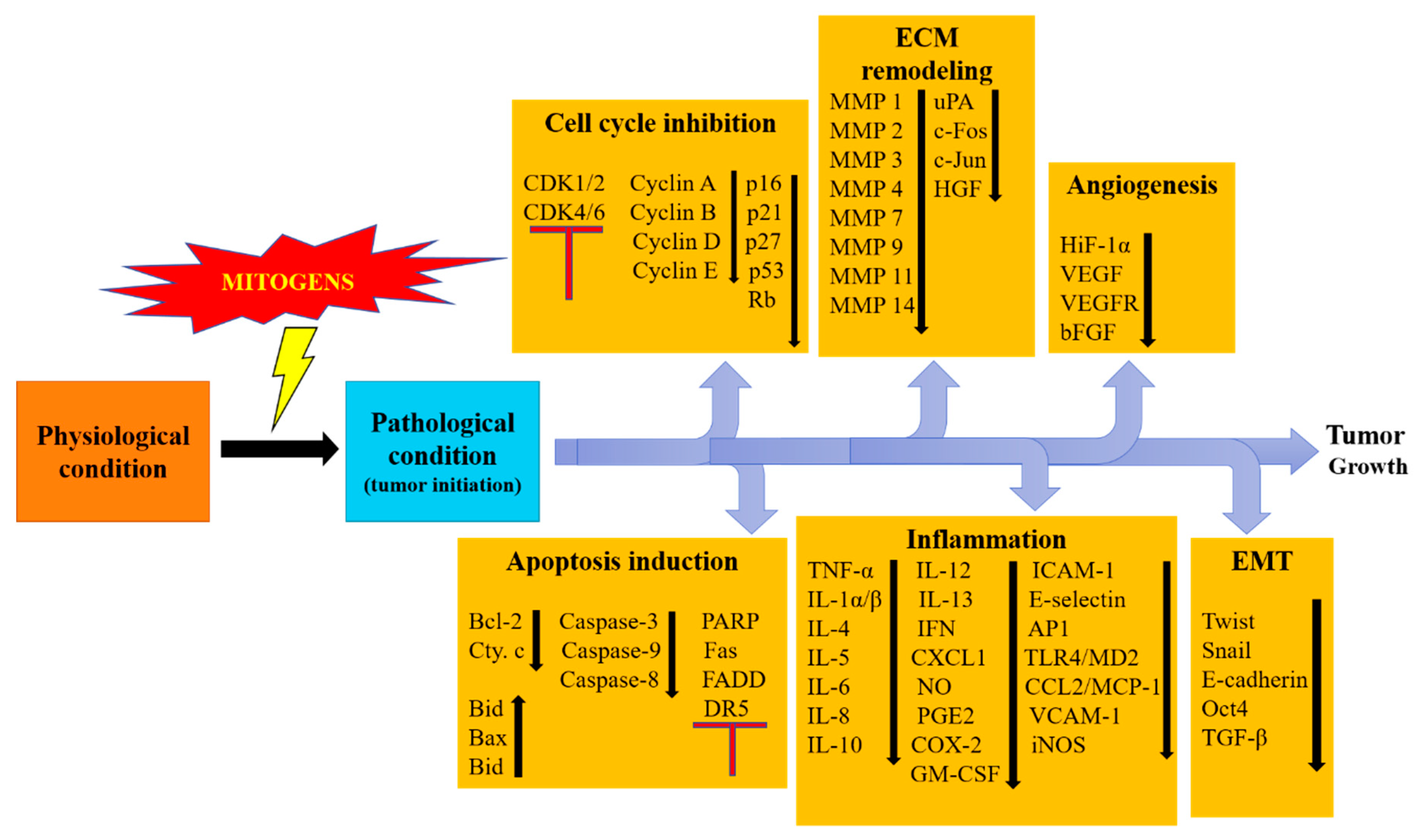 Biomolecules 09 00174 g001 Biomolecules 09 00174 g001