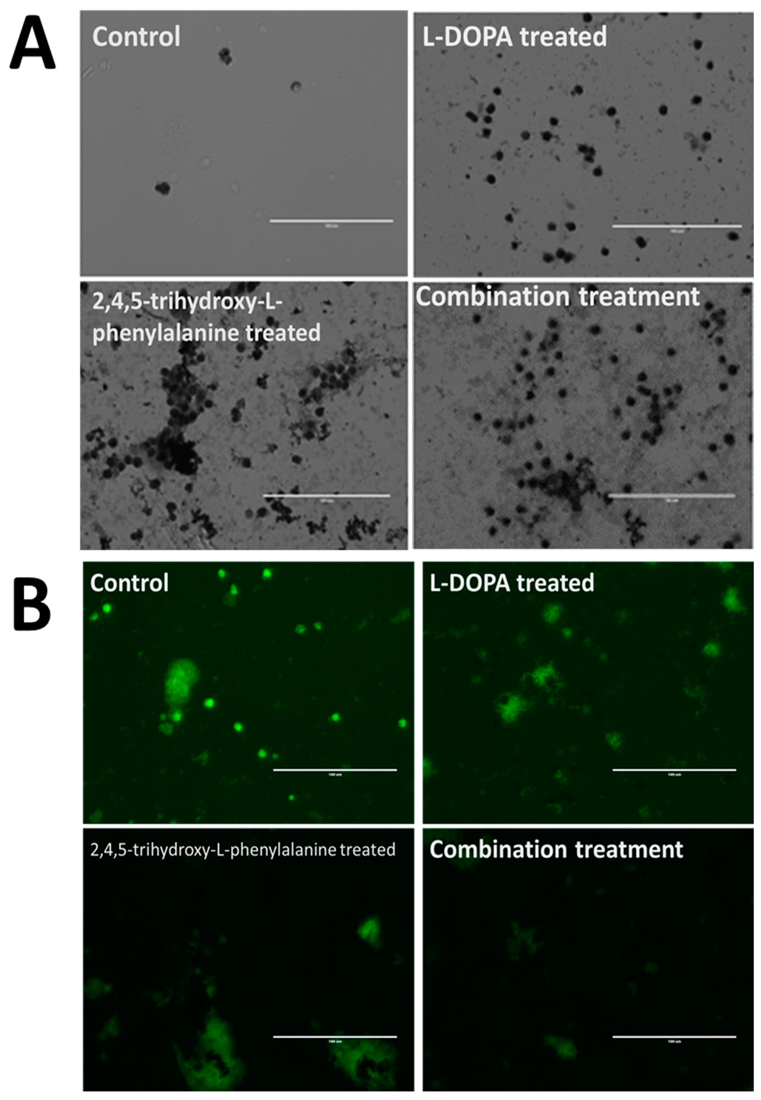 Biomolecules 09 00175 g005