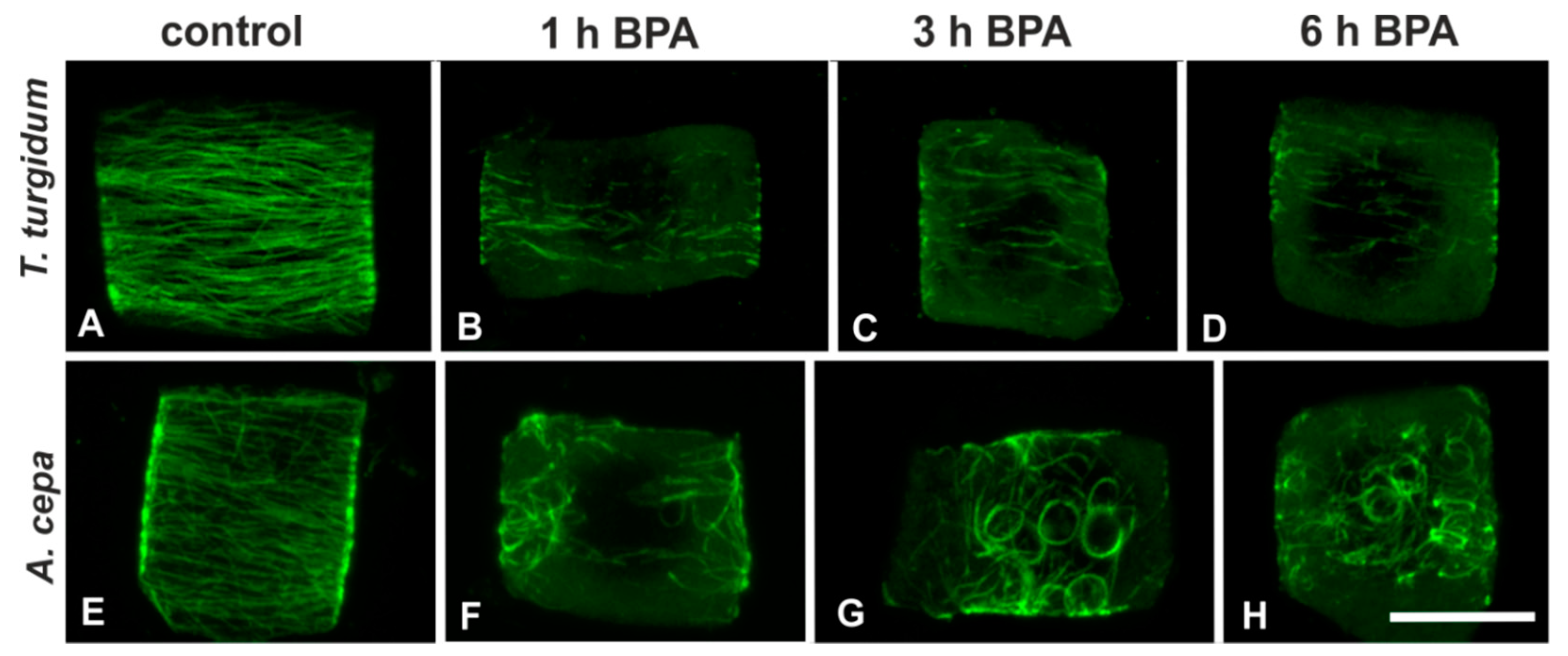 Biomolecules 09 00185 g001 Biomolecules 09 00185 g001