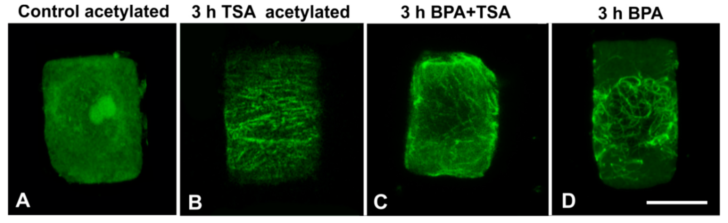 Biomolecules 09 00185 g010 Biomolecules 09 00185 g010