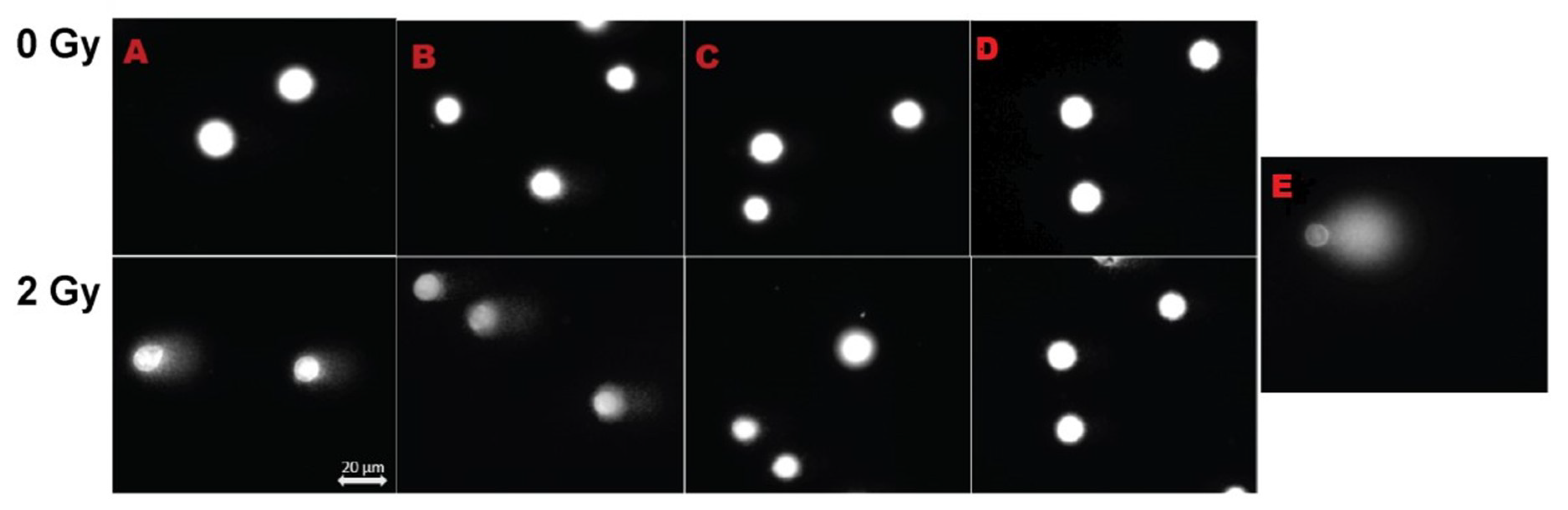 Biomolecules 09 00186 g005 Biomolecules 09 00186 g005